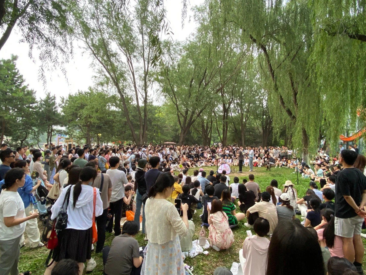 歌手、乐手看过来🫳🏻