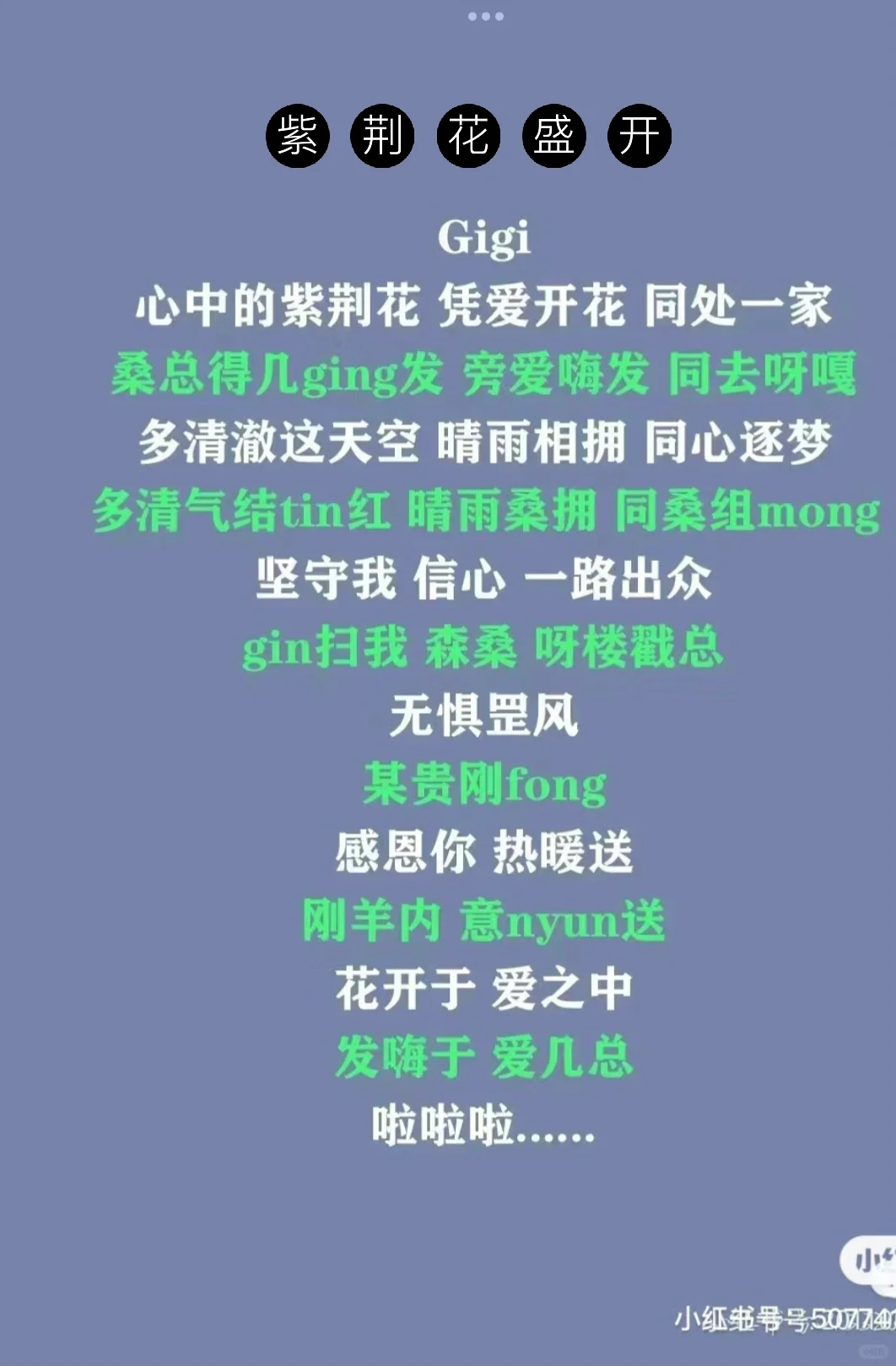 紫荆花盛开粤语