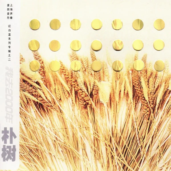 好听的国语专辑