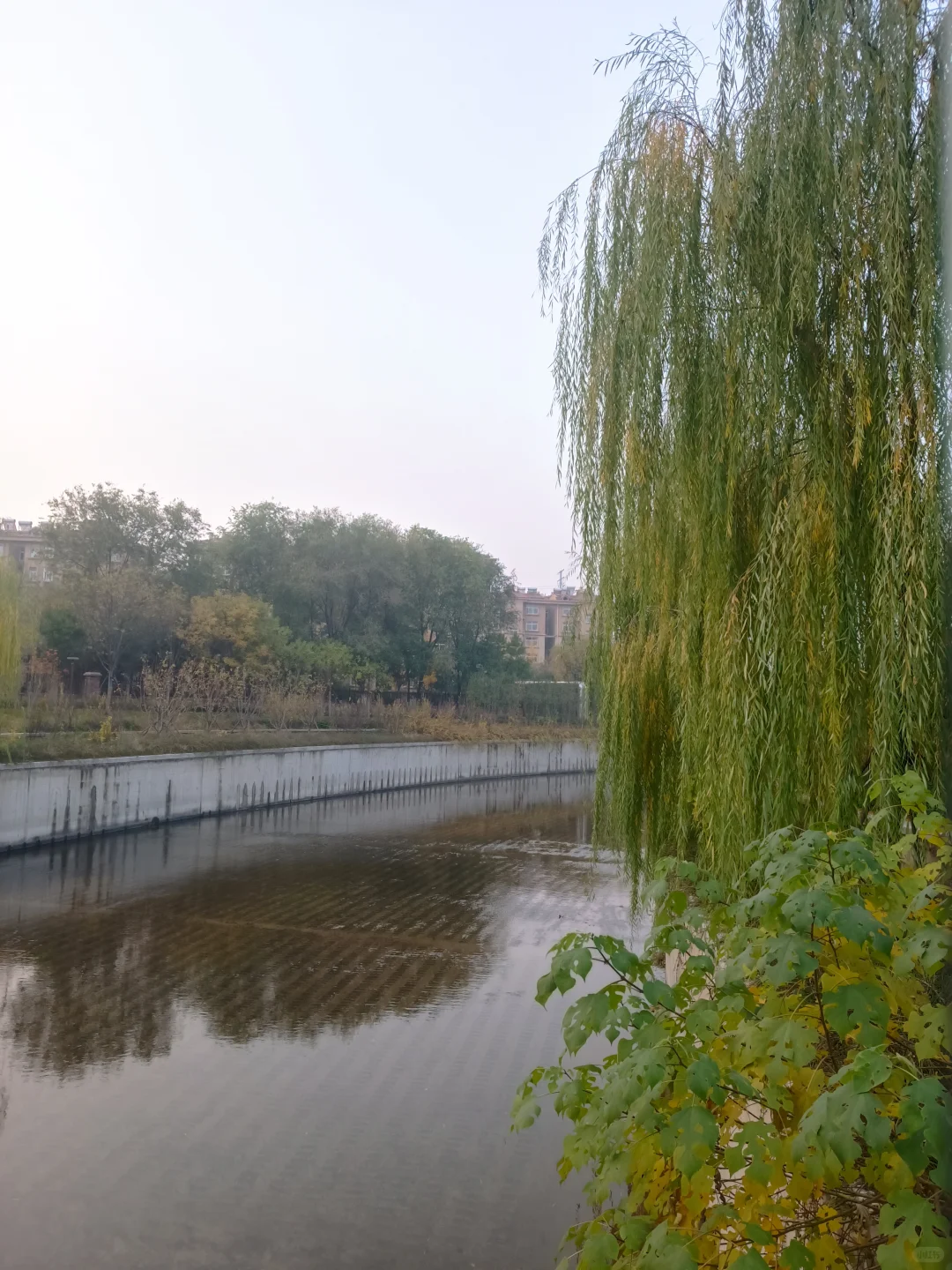 不想跑的一天，还是坚持了下来