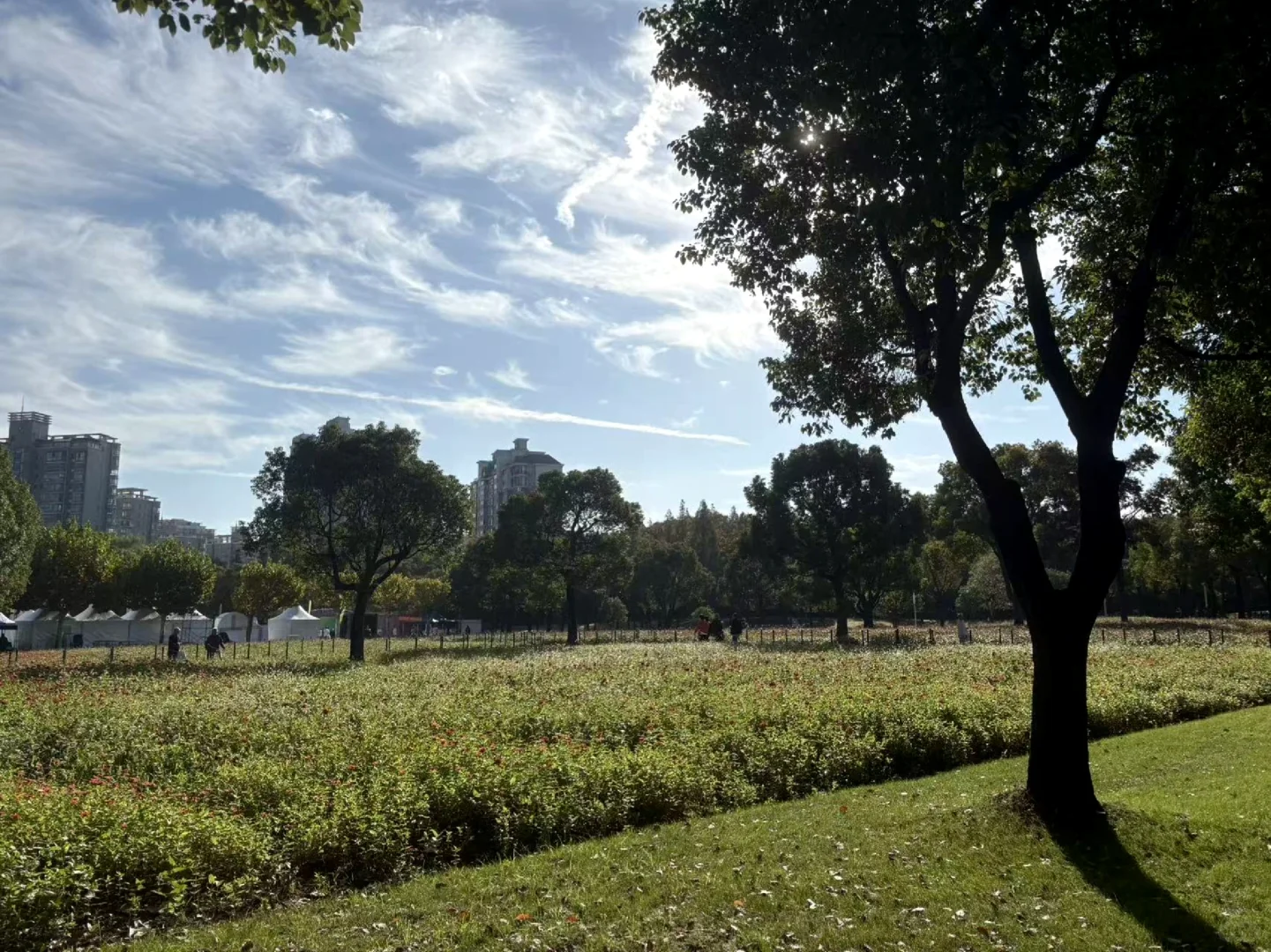 【跑步】一个愉快的周末