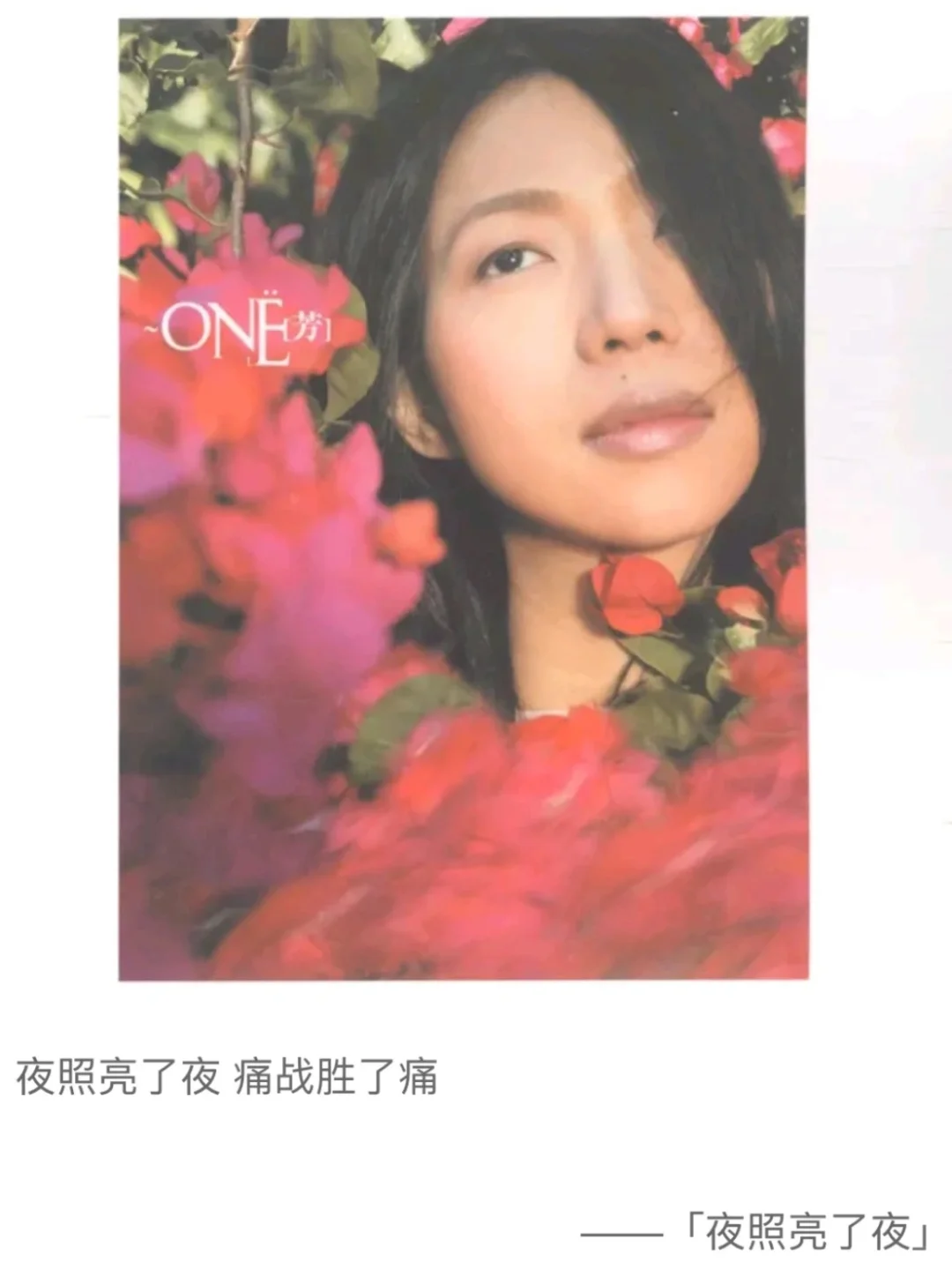 十首中文摇滚爱情歌曲