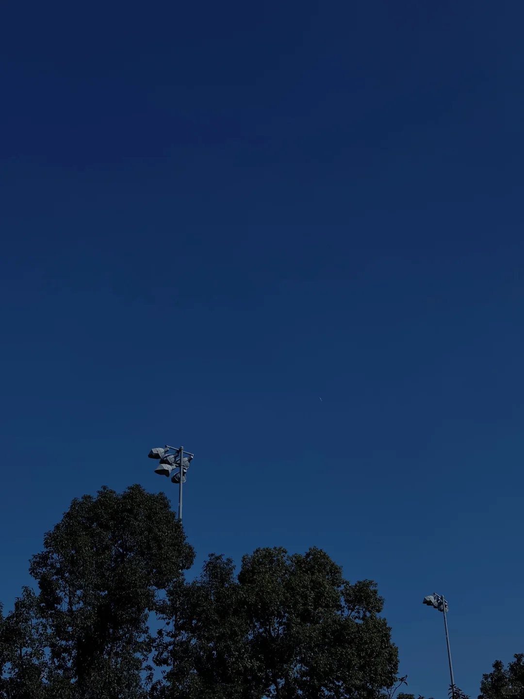 🏃‍➡️跑步的快乐随拍📷