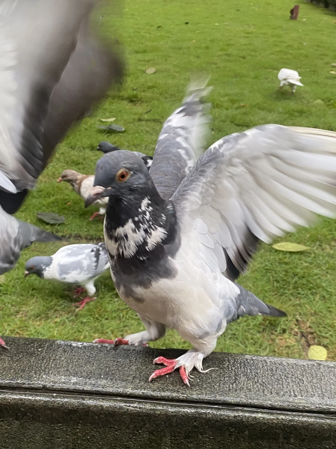 北辰三角洲钢琴老师外出学习篇