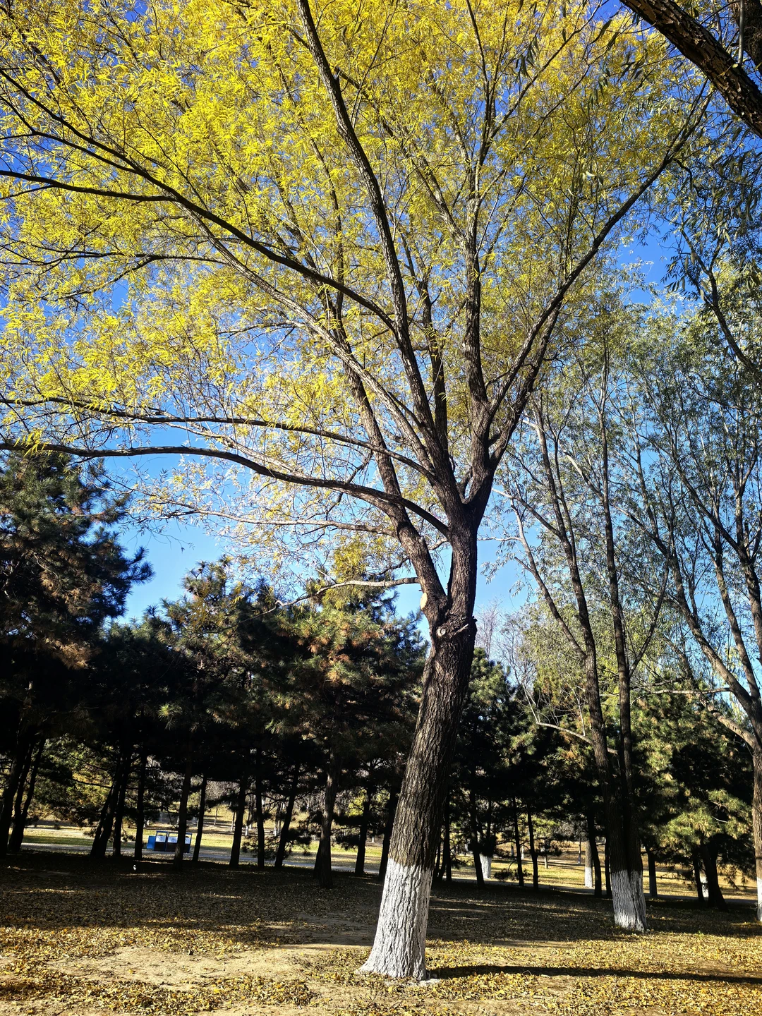 快去户外跑步吧🏃🏻