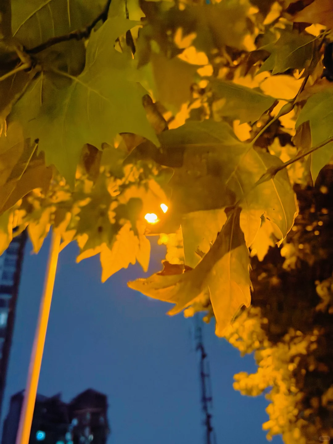 实况配音乐，真的绝美～～