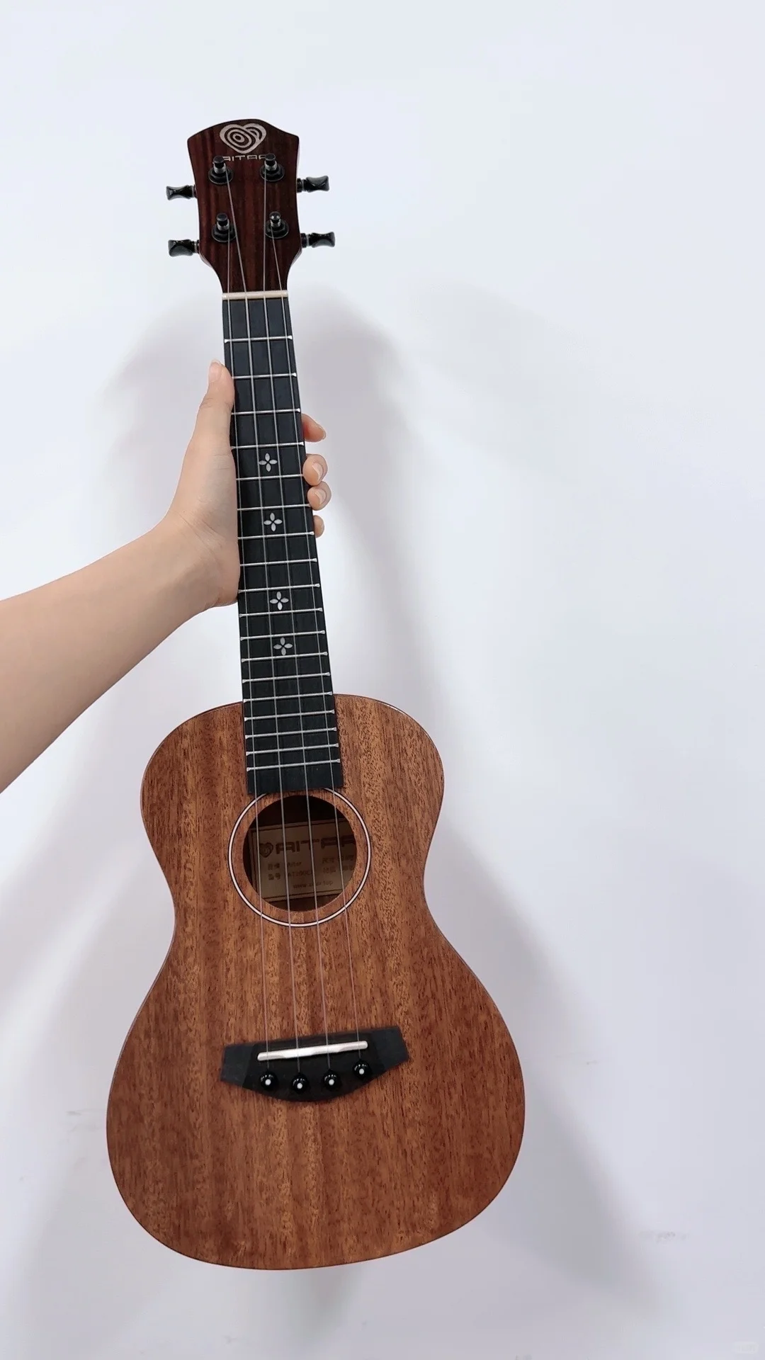 🎸自学尤克里里一年｜音乐小白的成长记录✨