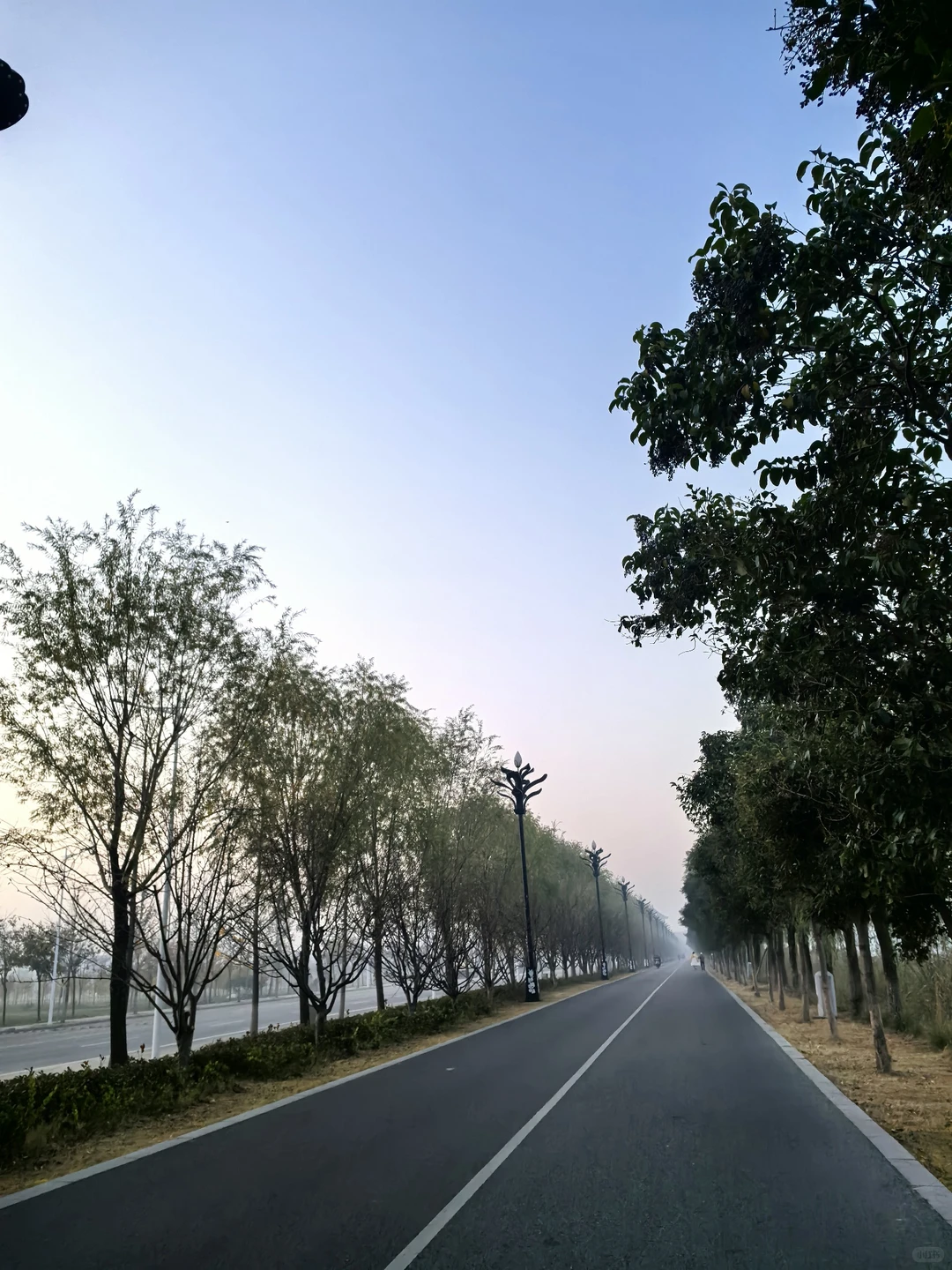 🏃🏃🏃周末的快乐来自于晨跑16公里