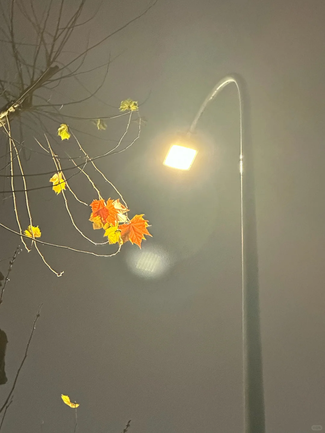 实况配音乐，真的绝美～～