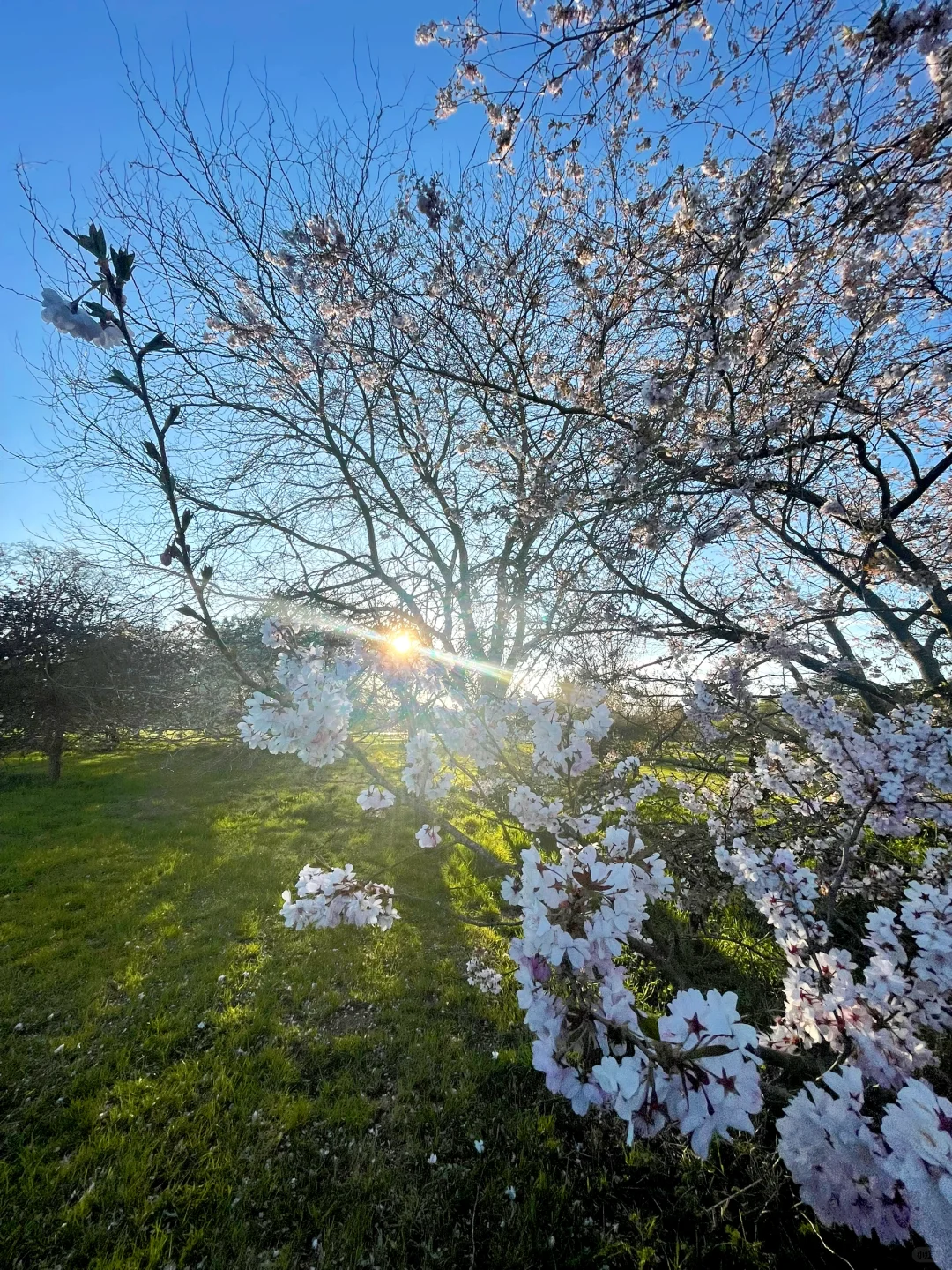 跑步小白｜强推一个极舒适踩点的150步频歌单