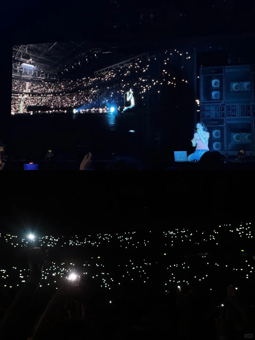 Lorde演唱会完全是个伟大的艺术品