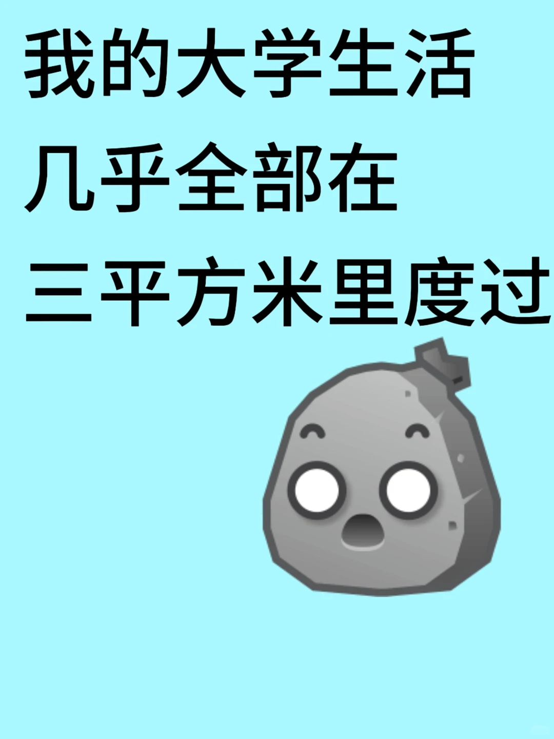 我的大学生活几乎全部在三平方米里度过