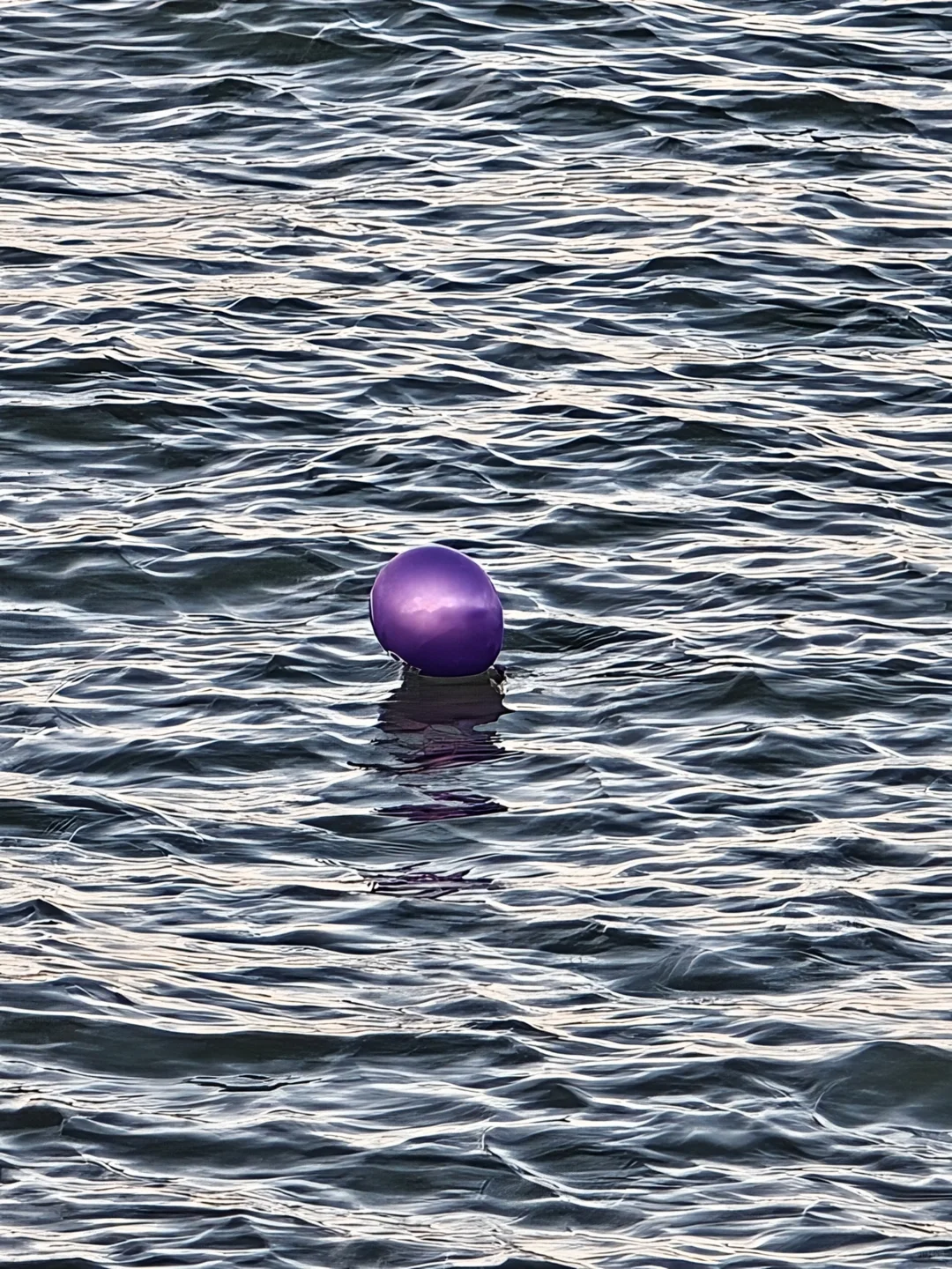 10km✅拒绝不了阳光下奔跑