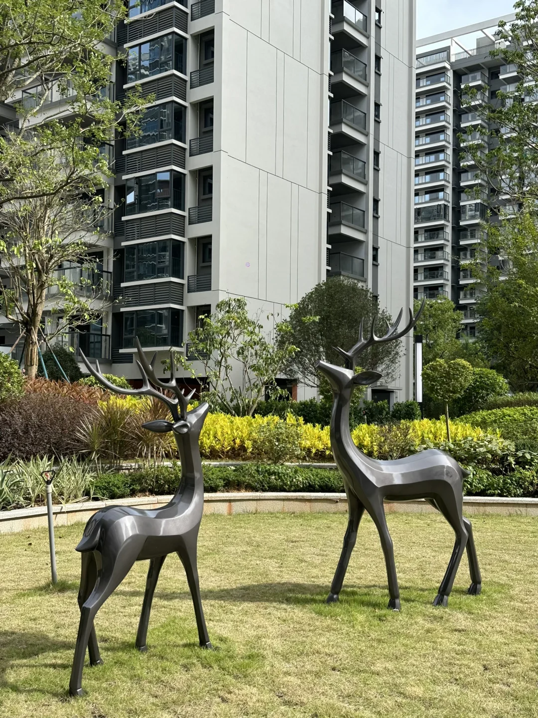 在这个小区住了一年多好久才发现这么多放松