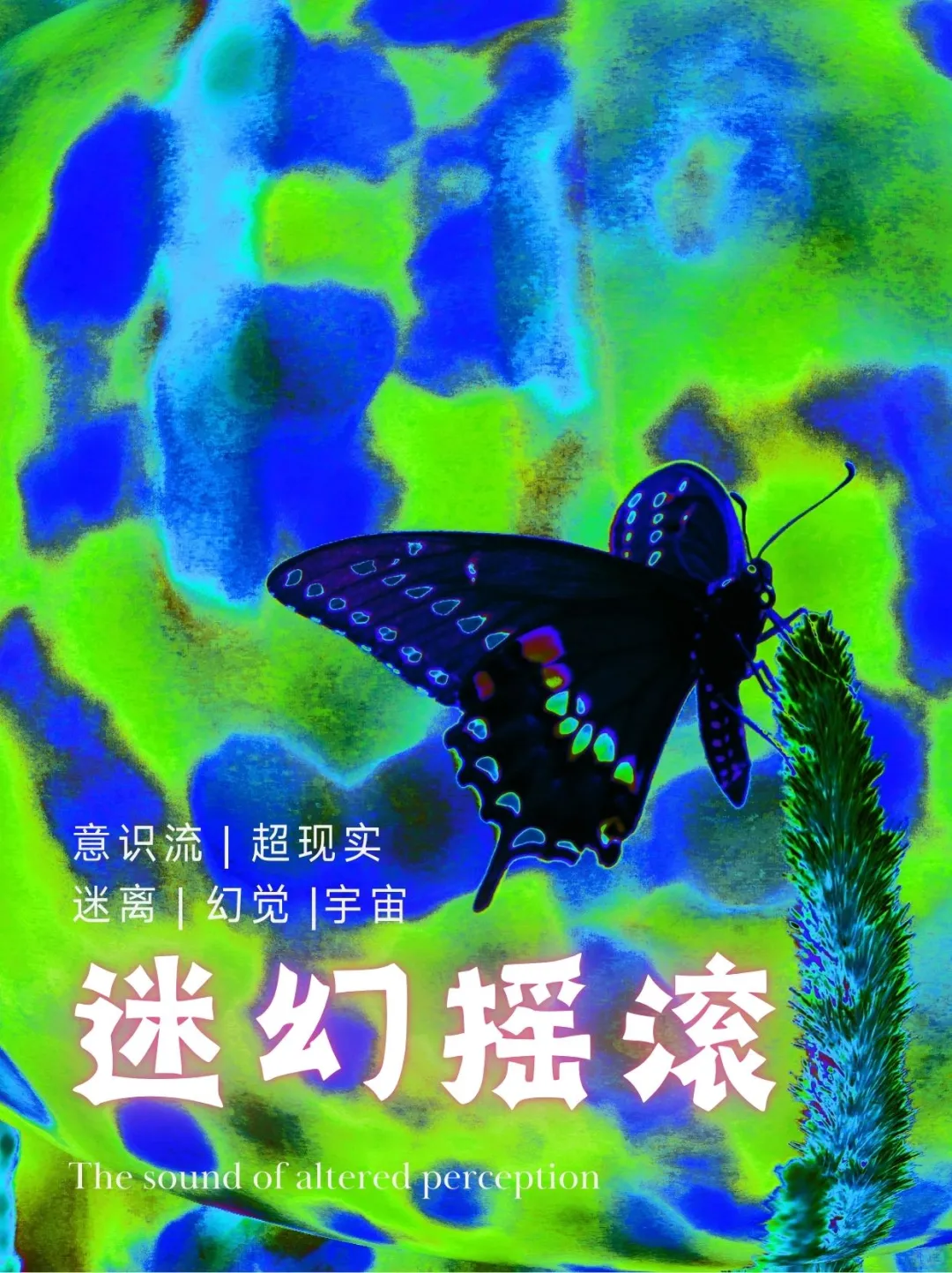 听迷幻摇滚的人脑子里都在想什么啊