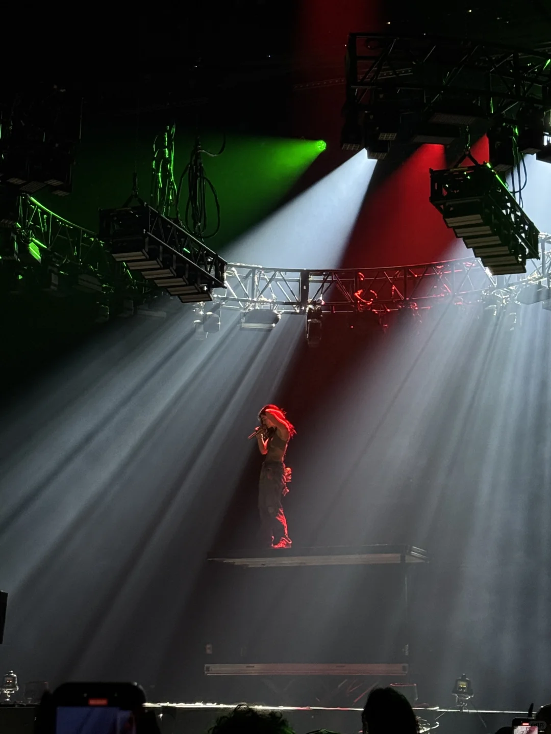 Lorde演唱会完全是个伟大的艺术品