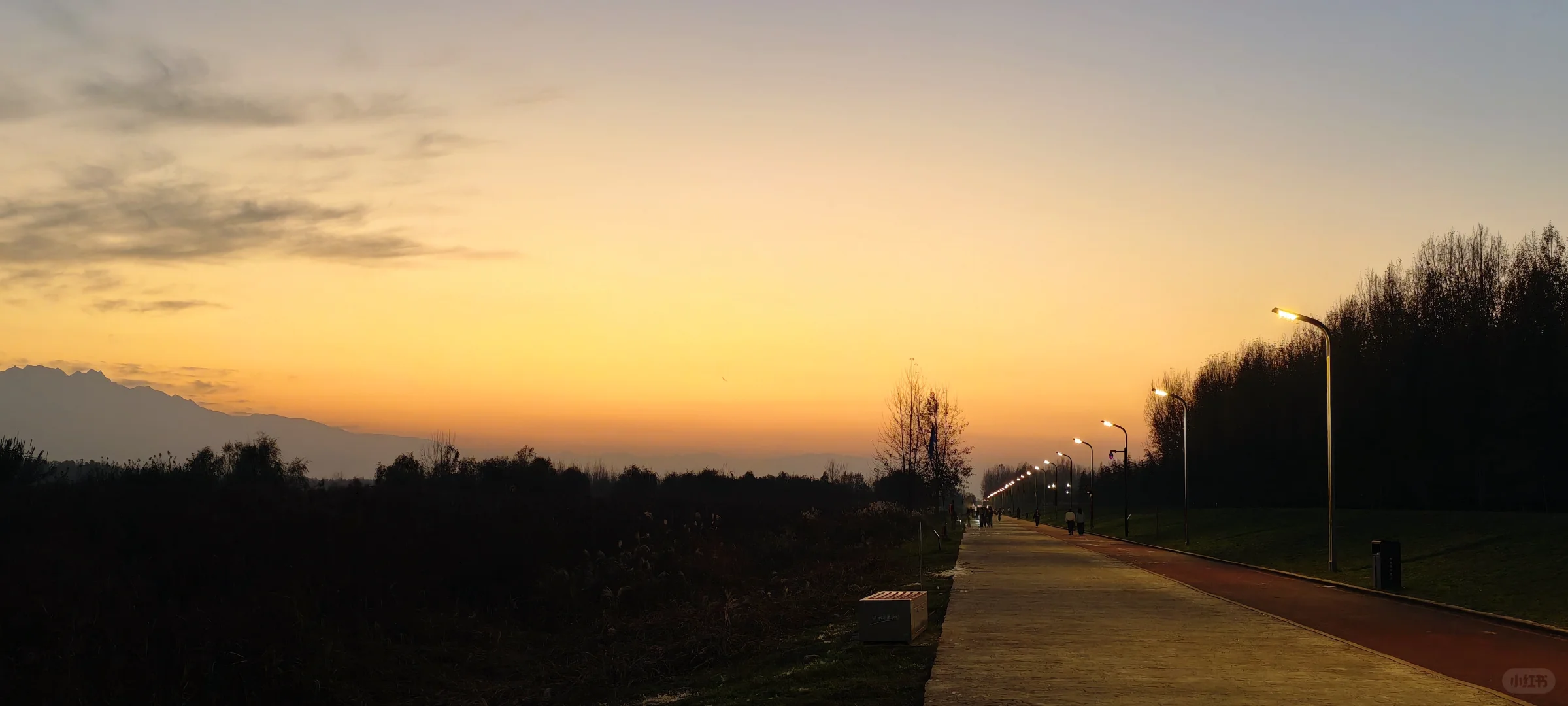 白天跑到黑夜，运动打卡10公里-day7