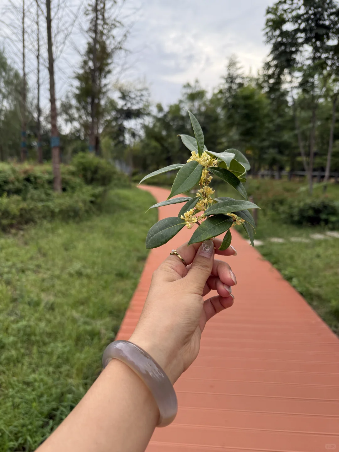 同频的人像是礼物🎁