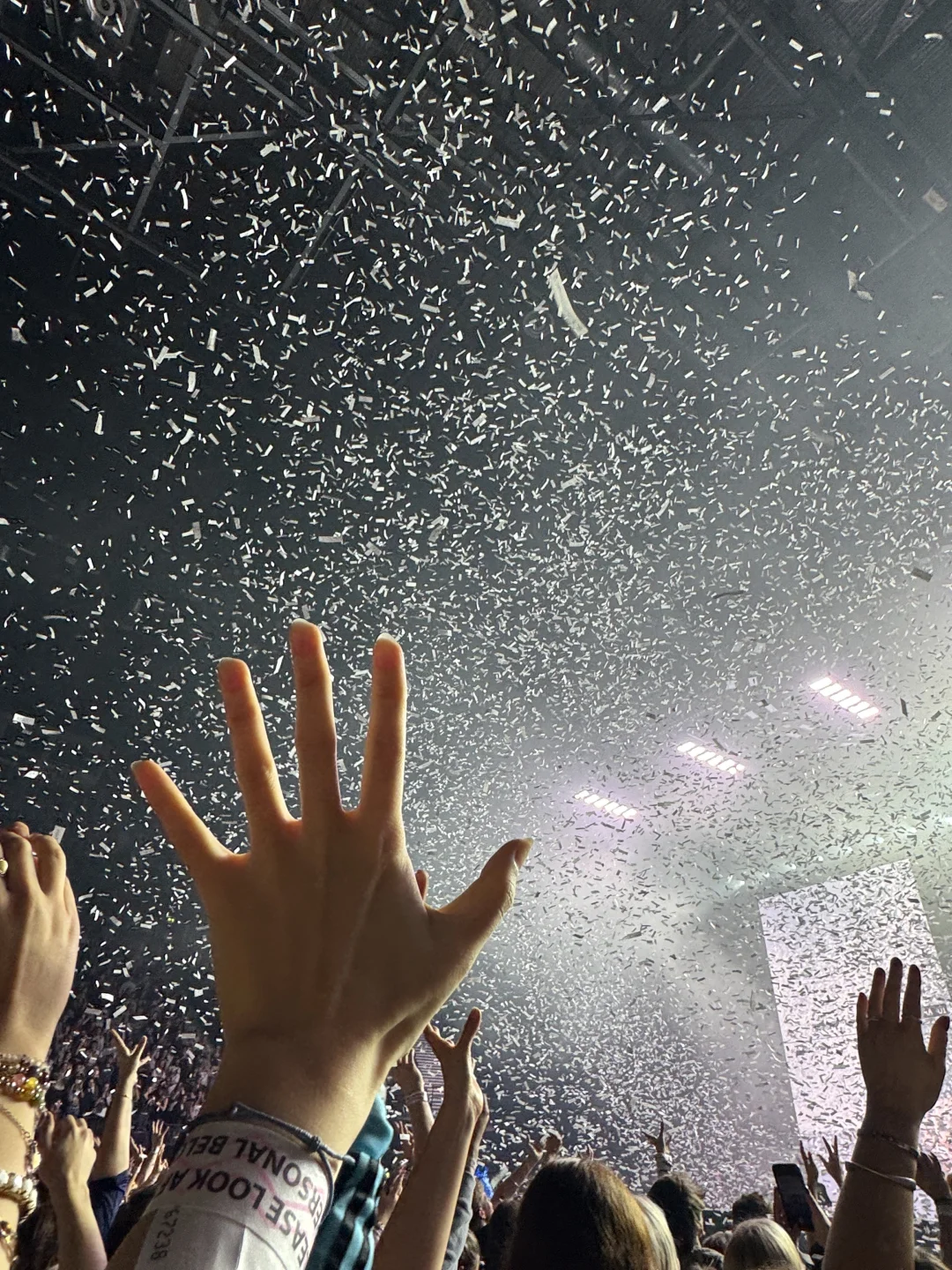 Lorde演唱会完全是个伟大的艺术品