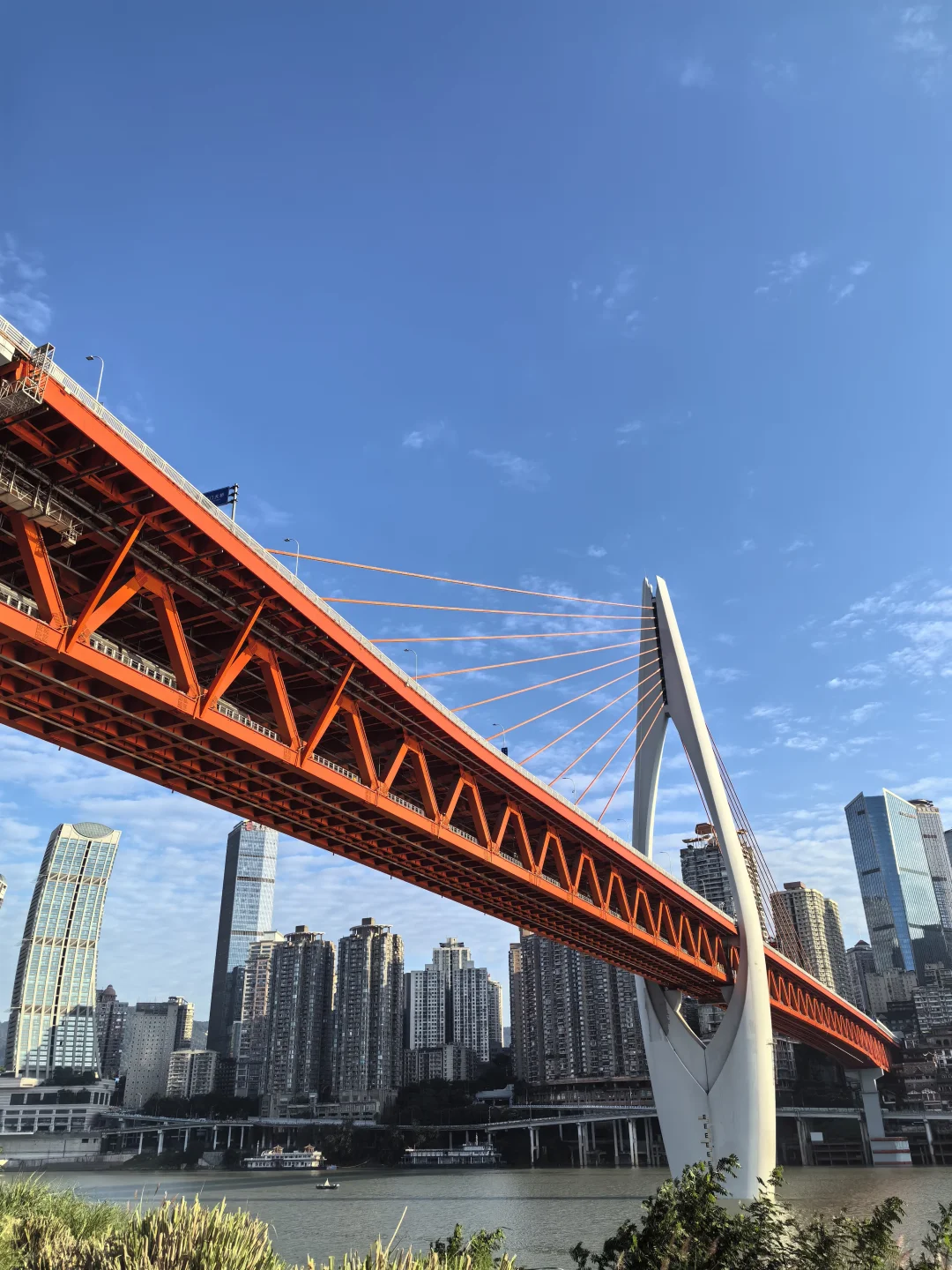 阳光灿烂的日子