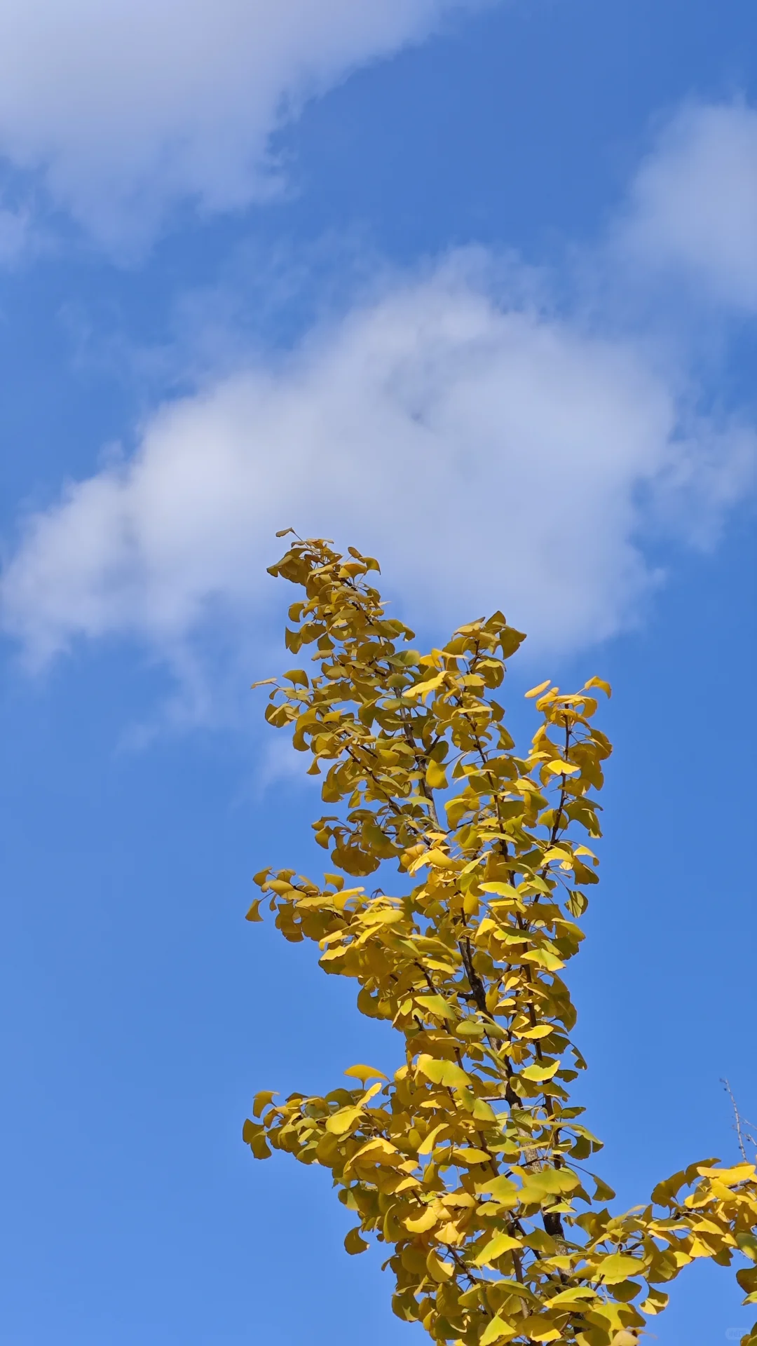 跑起来啦🏃‍♀️