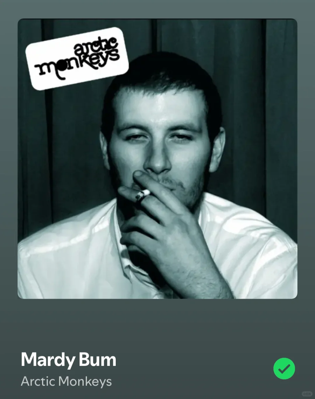 最喜欢的北极猴的十首歌