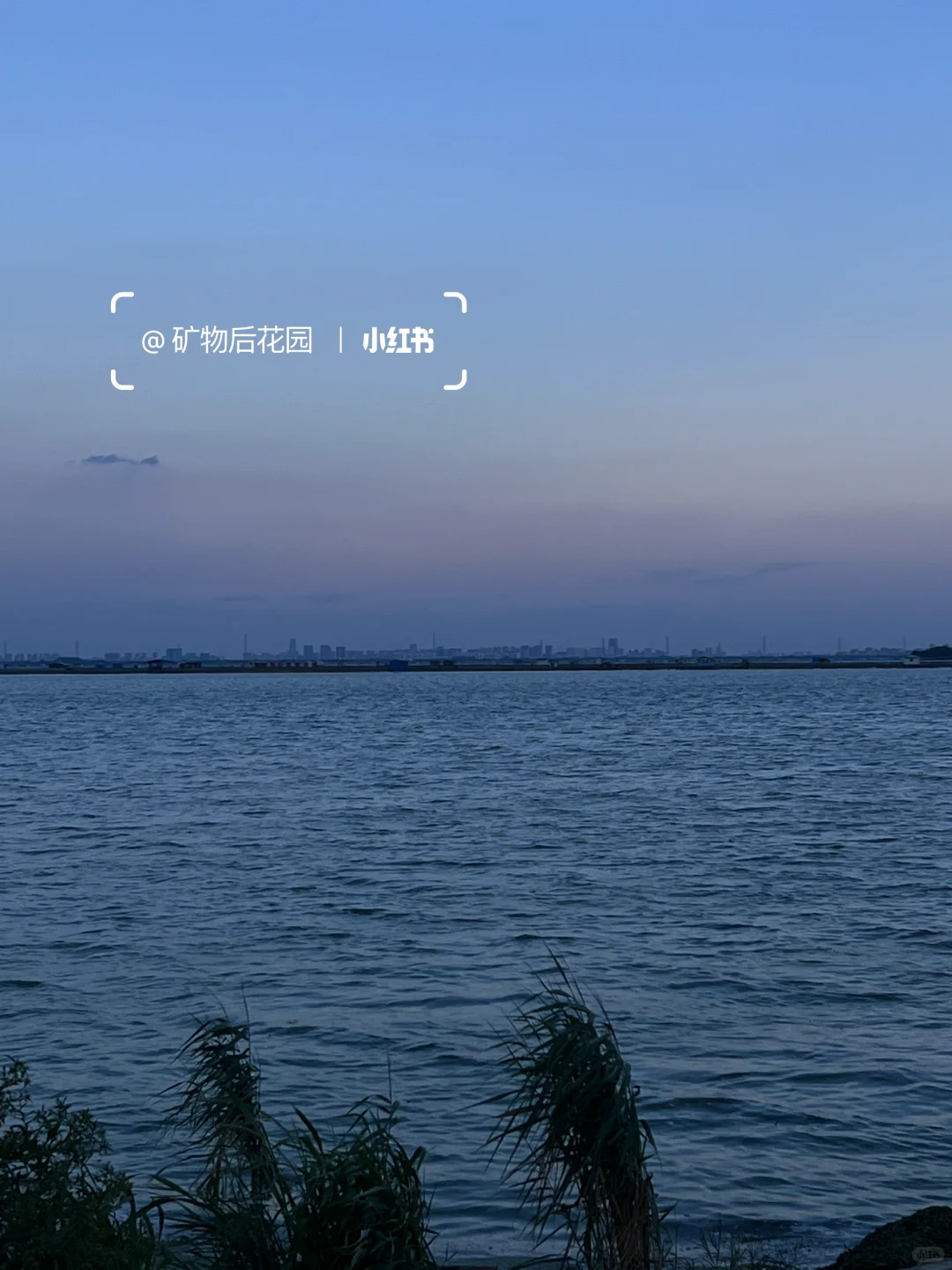 享受属于你的蓝调时刻🌌