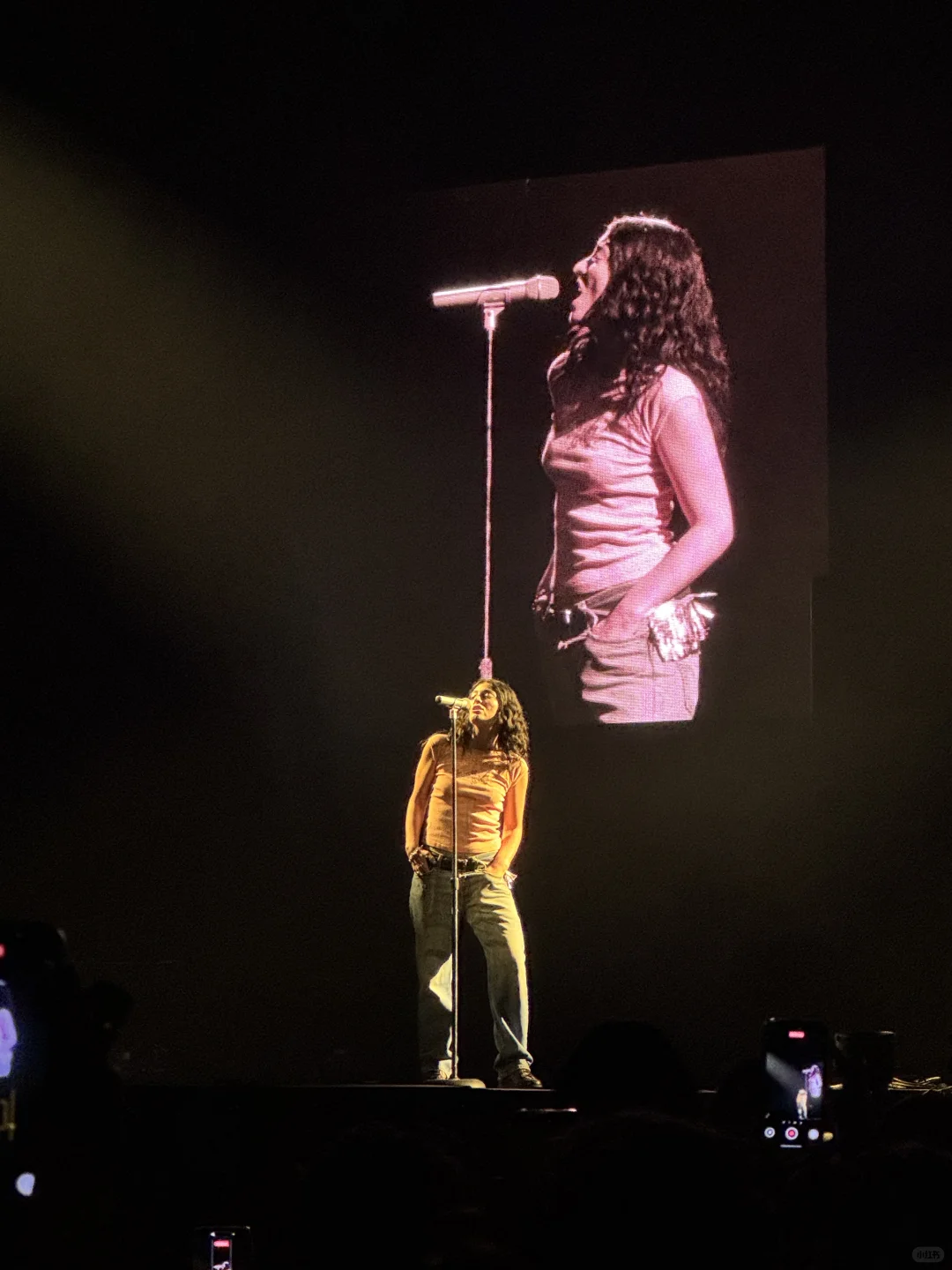 Lorde演唱会完全是个伟大的艺术品