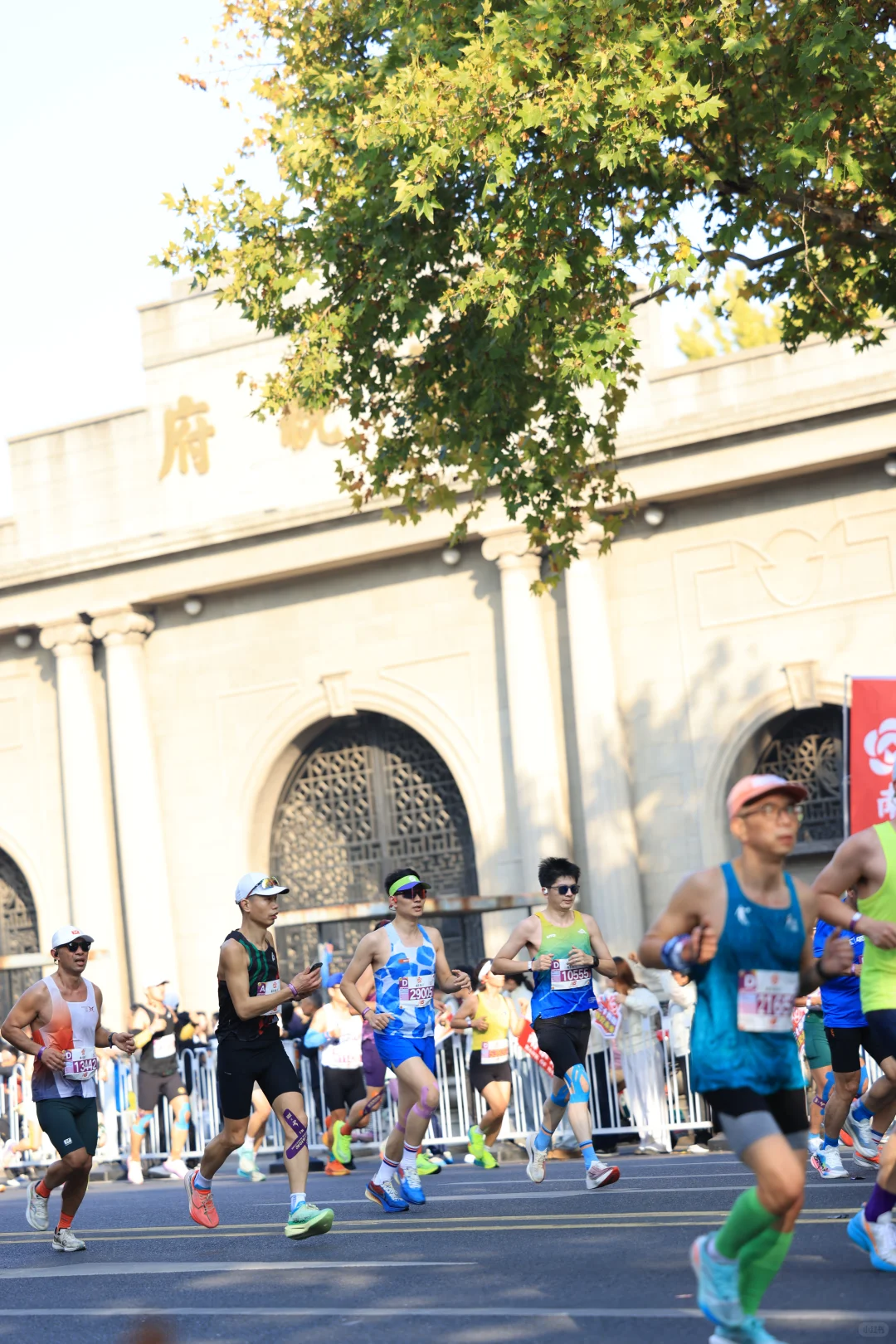 南京马拉松赛记—从315退守329