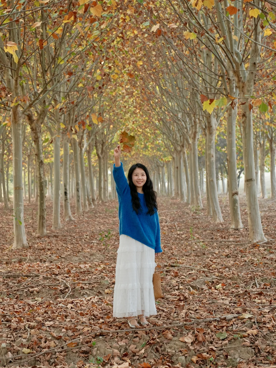单曲循环《枫》🍁我用第102种方式留住秋天✨