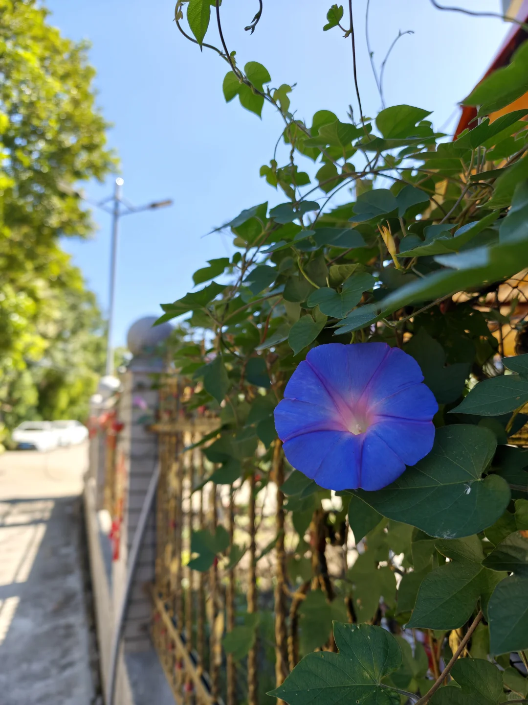 10km✅拒绝不了阳光下奔跑