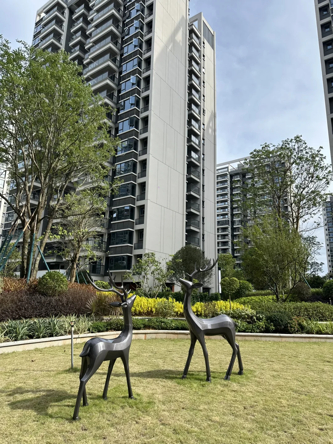 在这个小区住了一年多好久才发现这么多放松