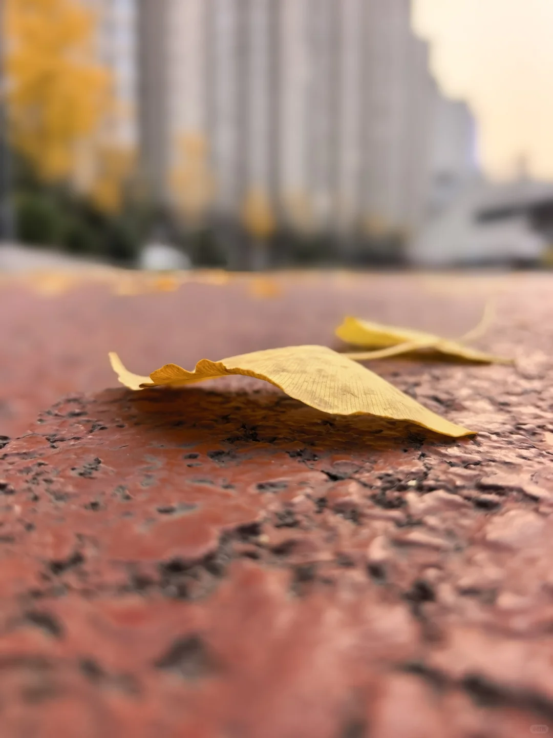 周日打卡 9 公里