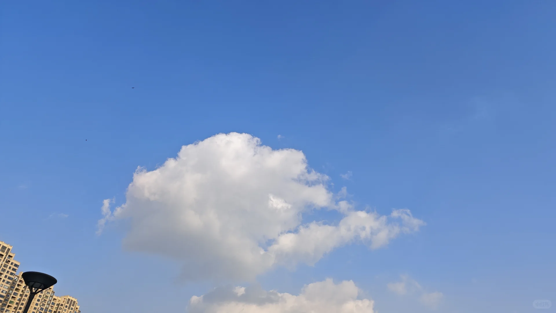 跑起来啦🏃‍♀️