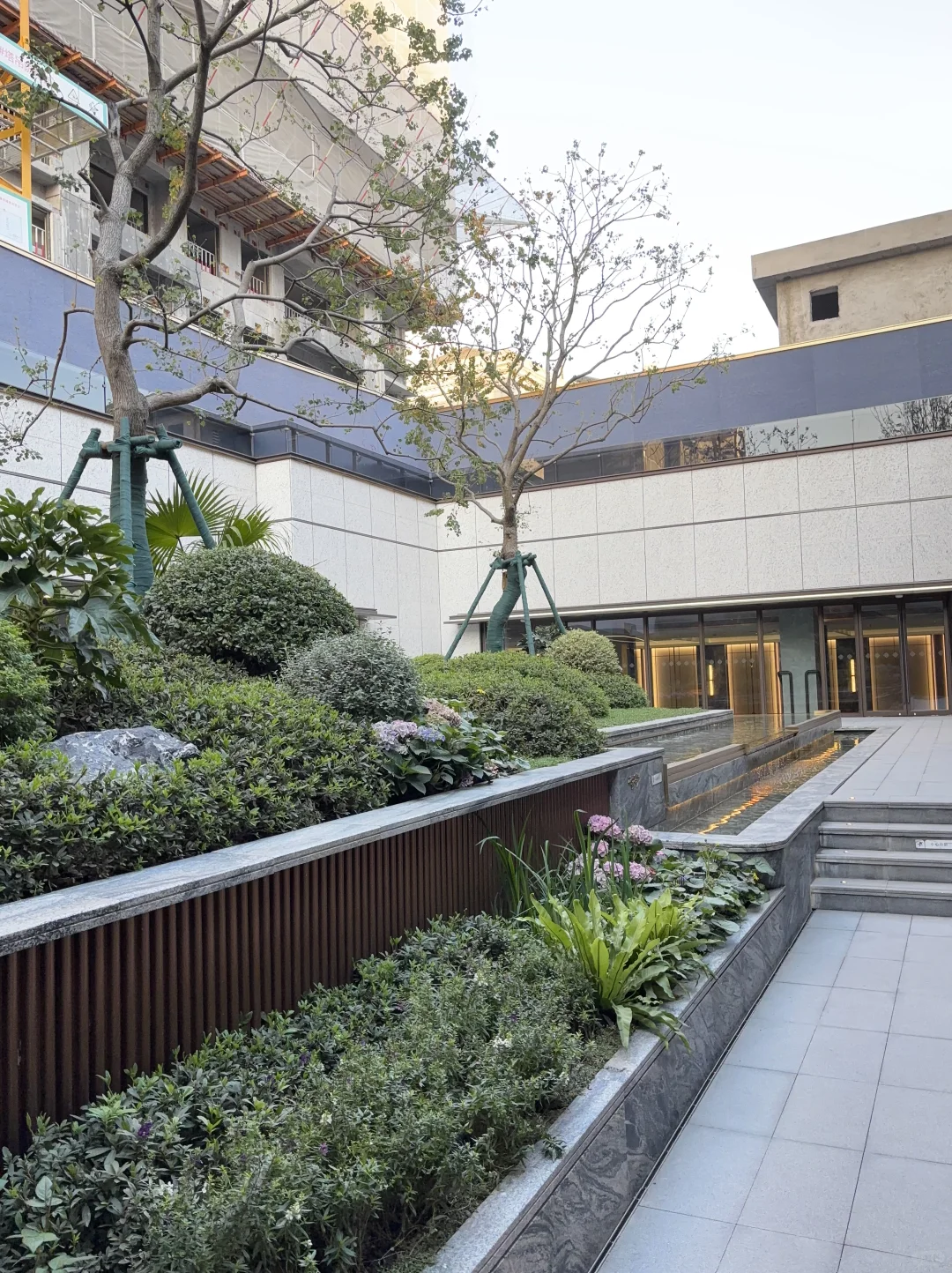 中环炸场❗️金隅公园东序把公园玩明白了👌