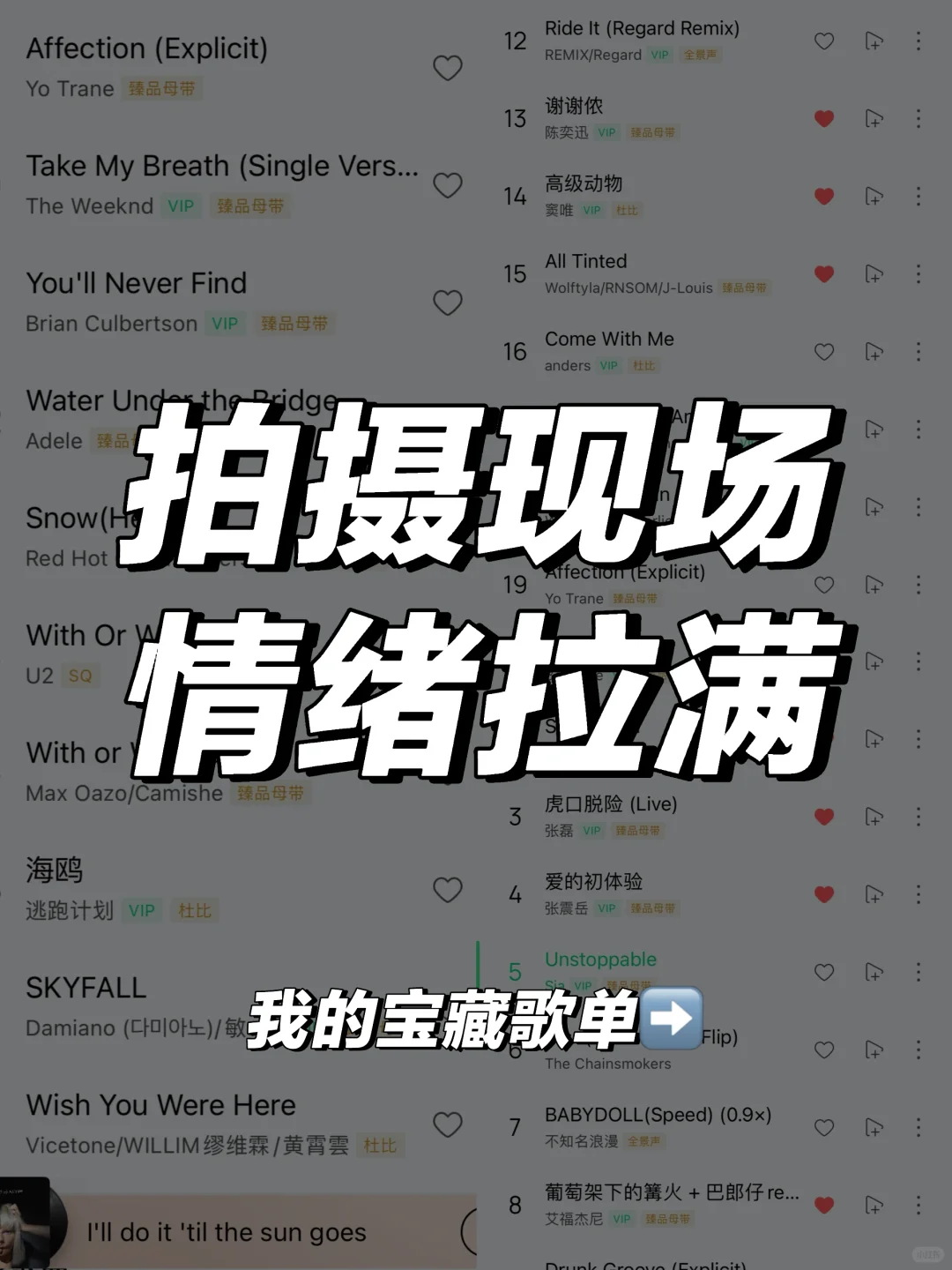 我的宝藏摄影歌单！