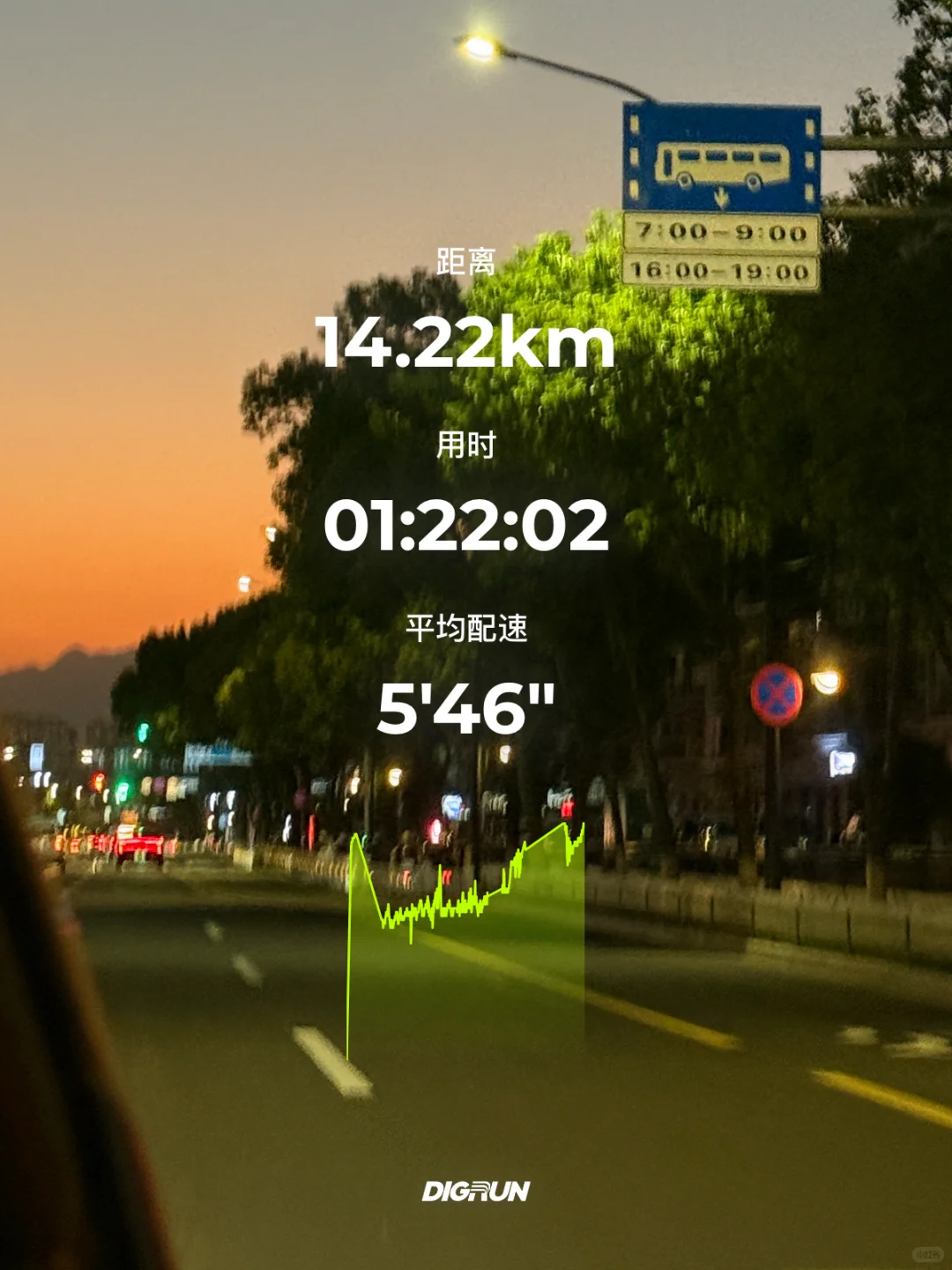 十一月D8｜14k☀️