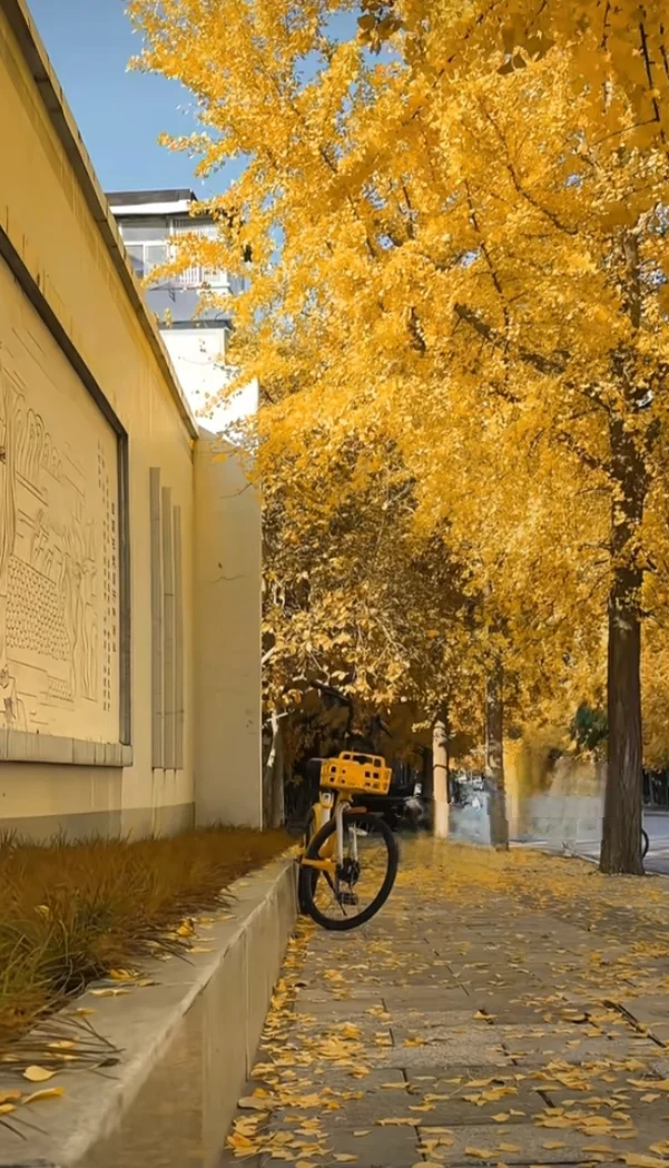 自律生活 享受独处