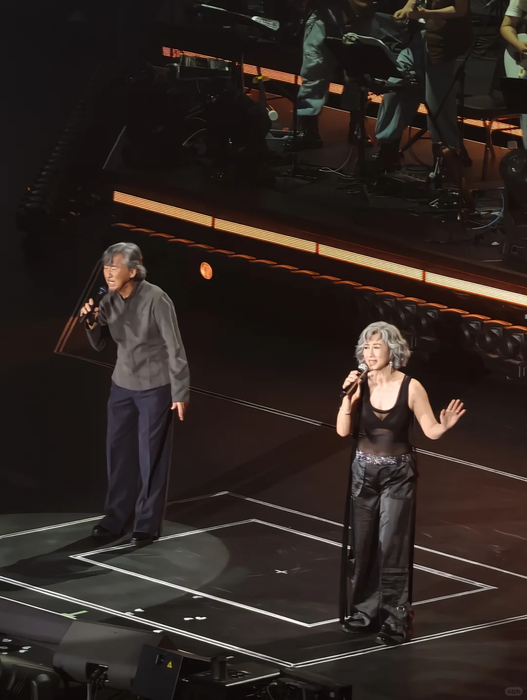 敢爱敢做的胡须佬和侠女还是铁肺？！