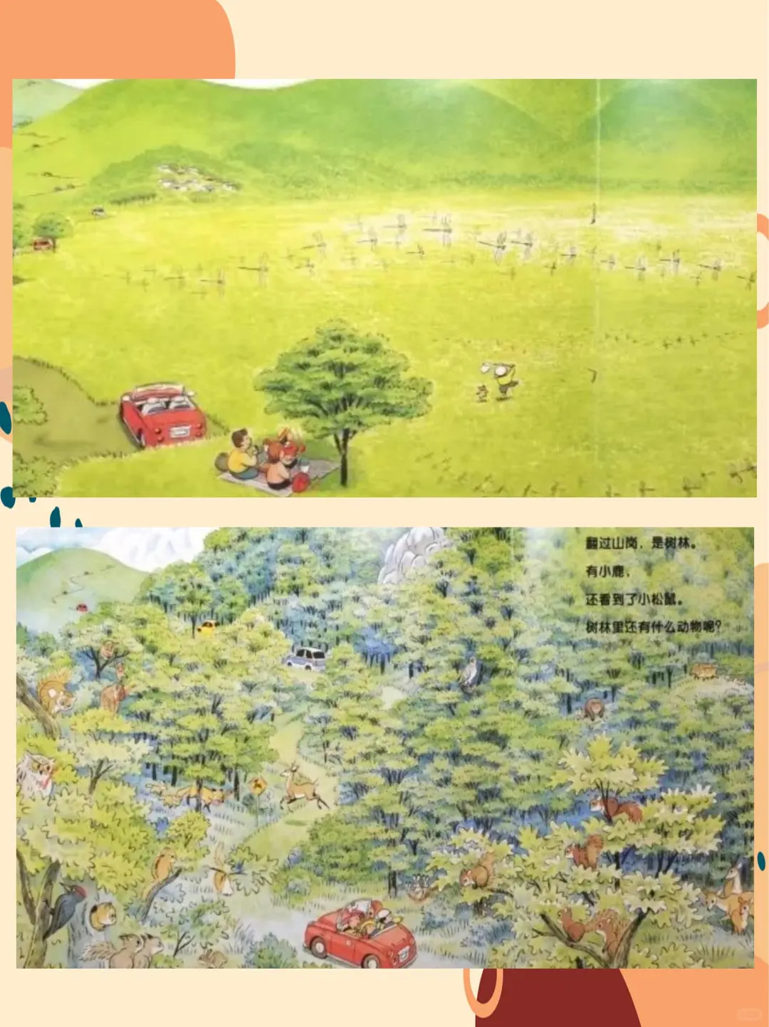 幼儿园公开课-大班语言《开车去兜风》