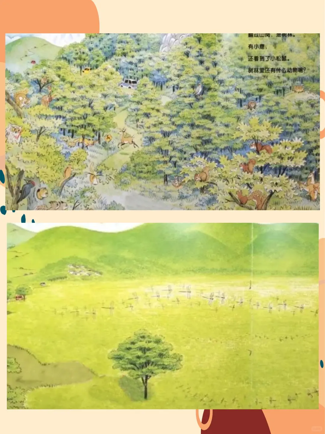 幼儿园公开课-大班语言《开车去兜风》