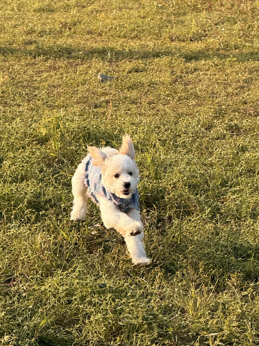 汽车博主🚗实习期Day2｜终于迎来周末de晴天