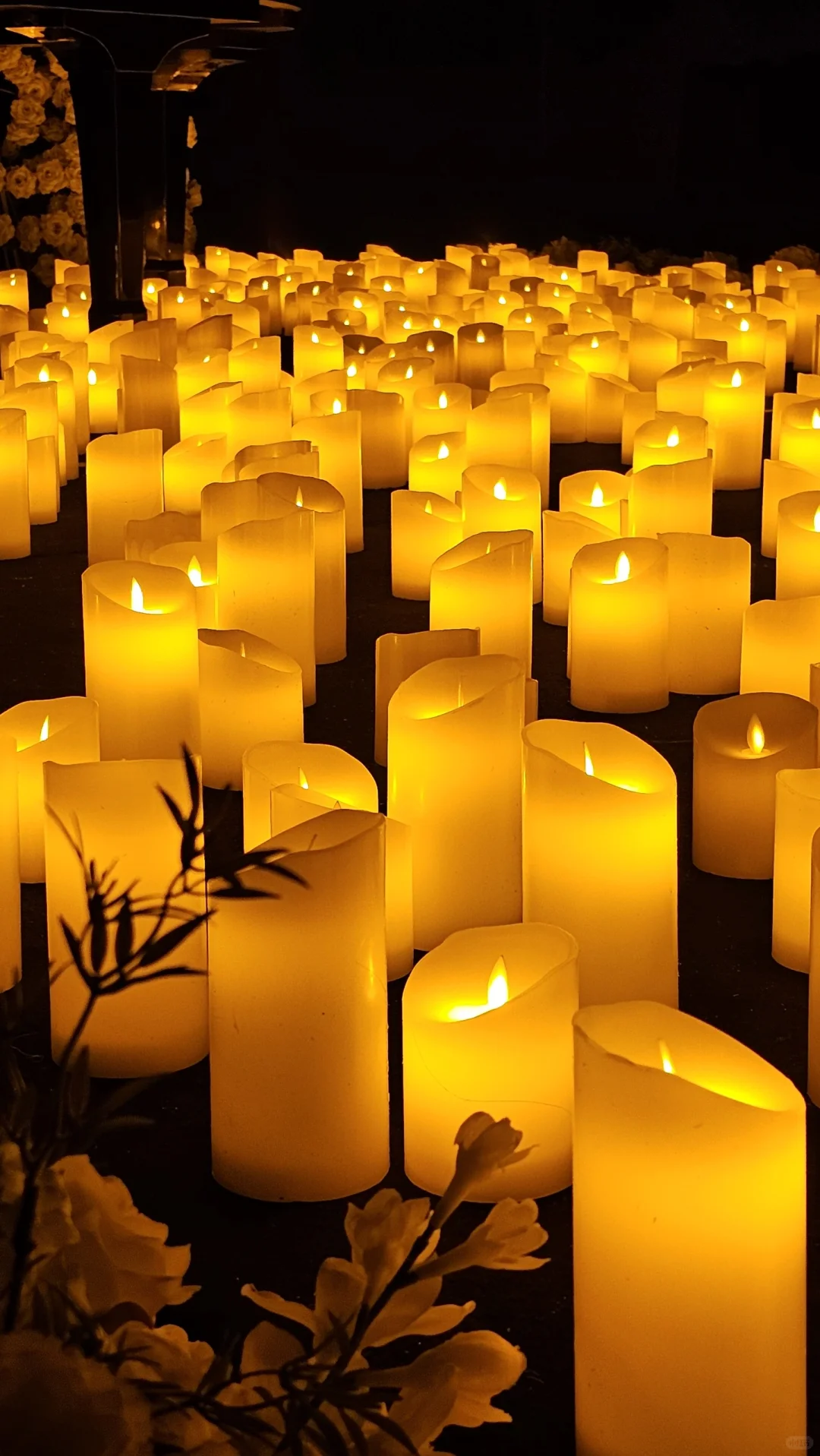 绝了！这烛光音乐会也太美了吧！约会好去处