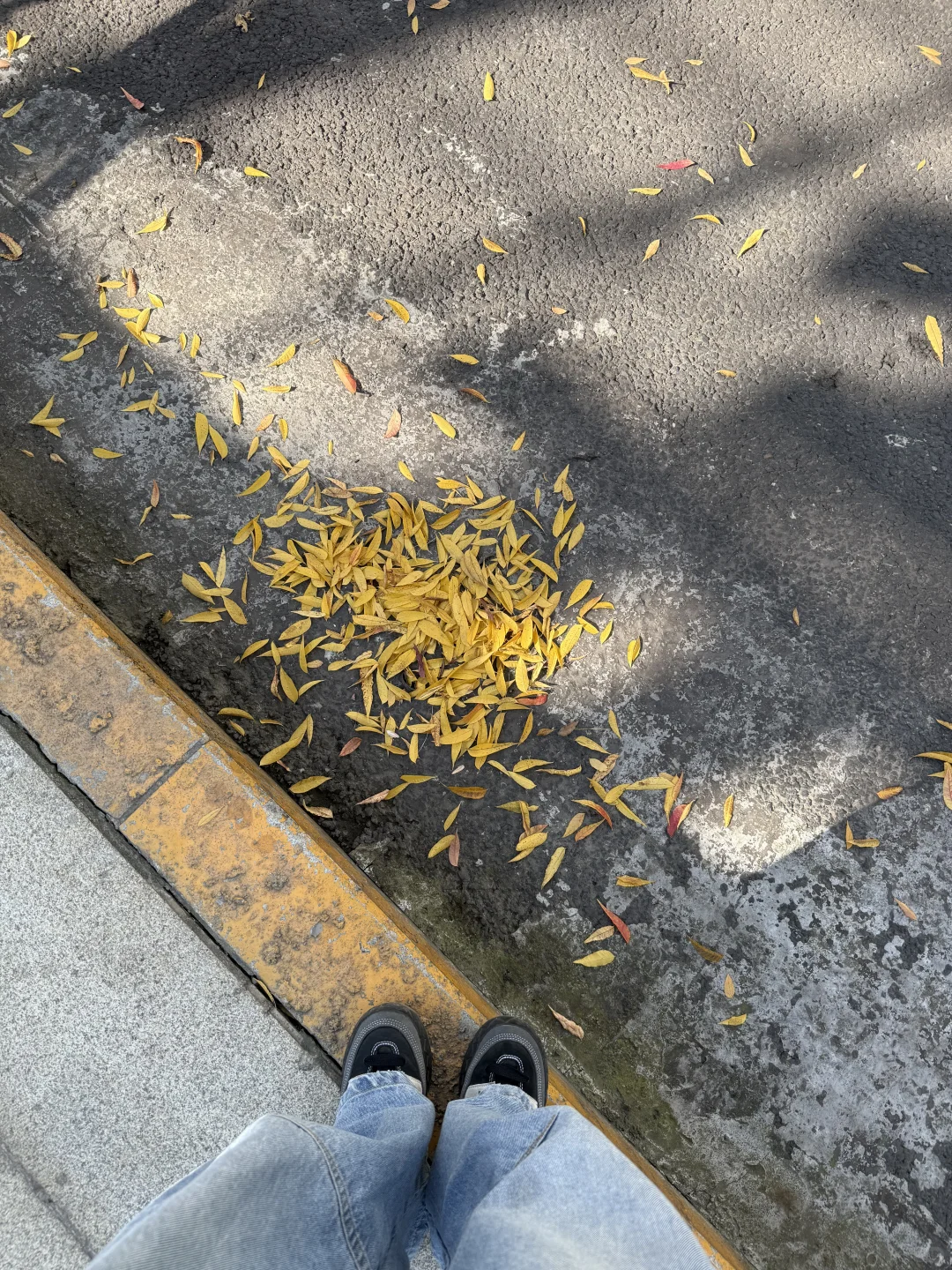 晴天也要有天窗啊啊啊！