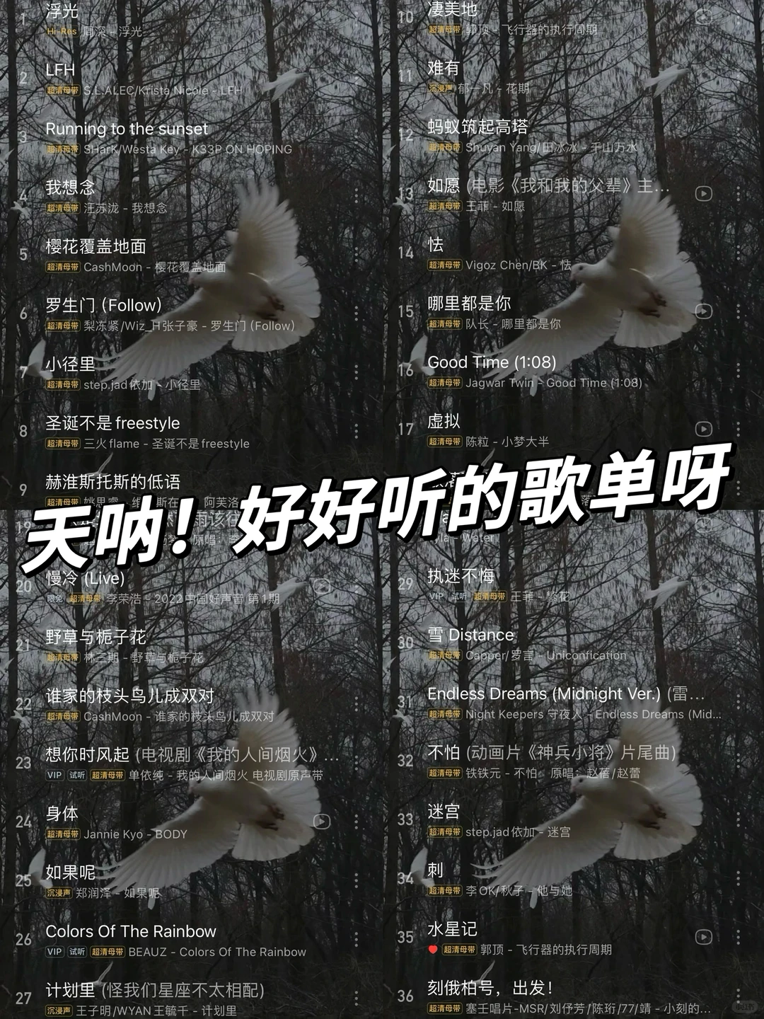 36首流行歌曲｜天呐！太好听啦🌈🌈