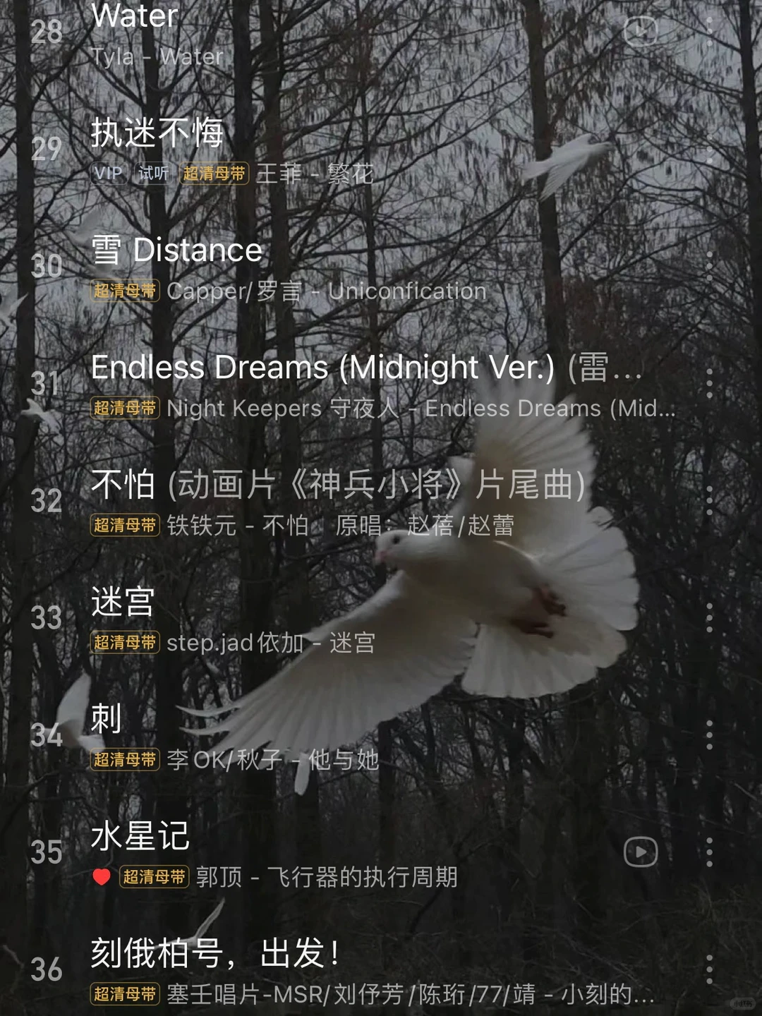 36首流行歌曲｜天呐！太好听啦🌈🌈