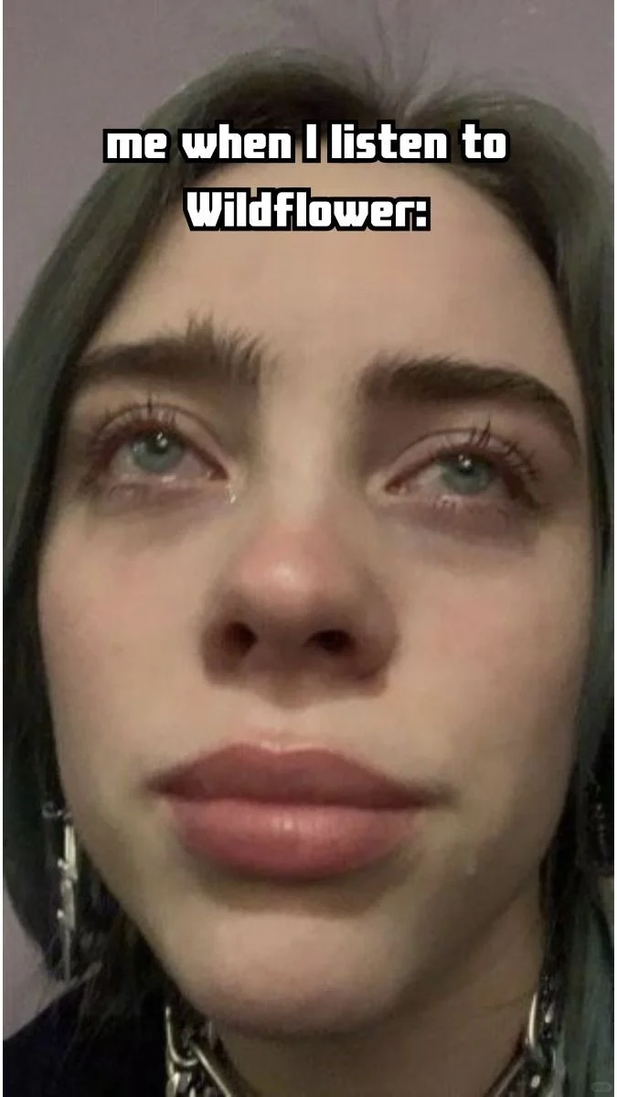 外国人近期最爱听的EMO神曲你听过了吗