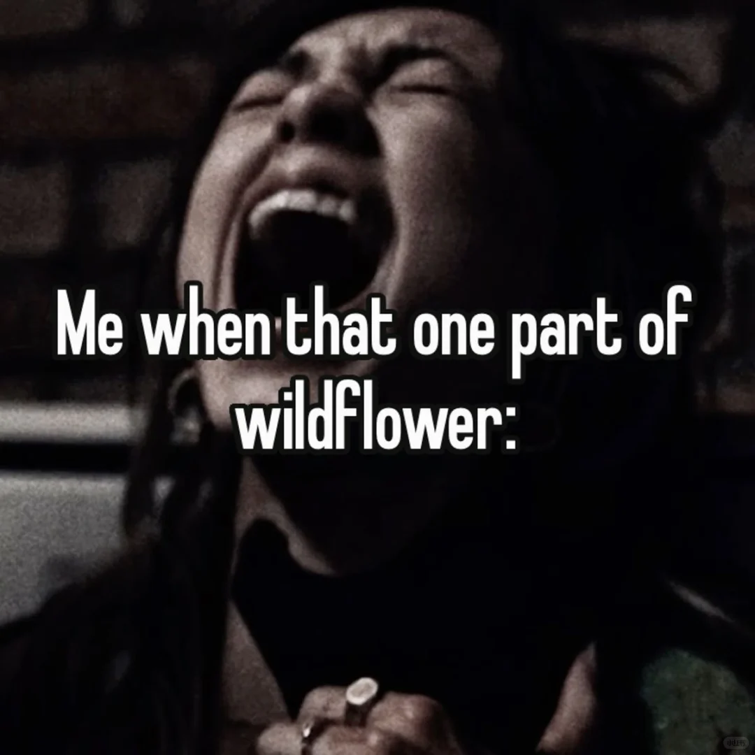 外国人近期最爱听的EMO神曲你听过了吗