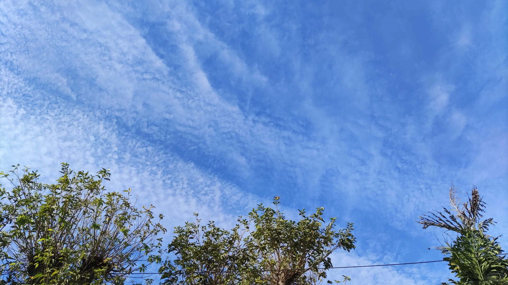 经典民谣弹唱100首！