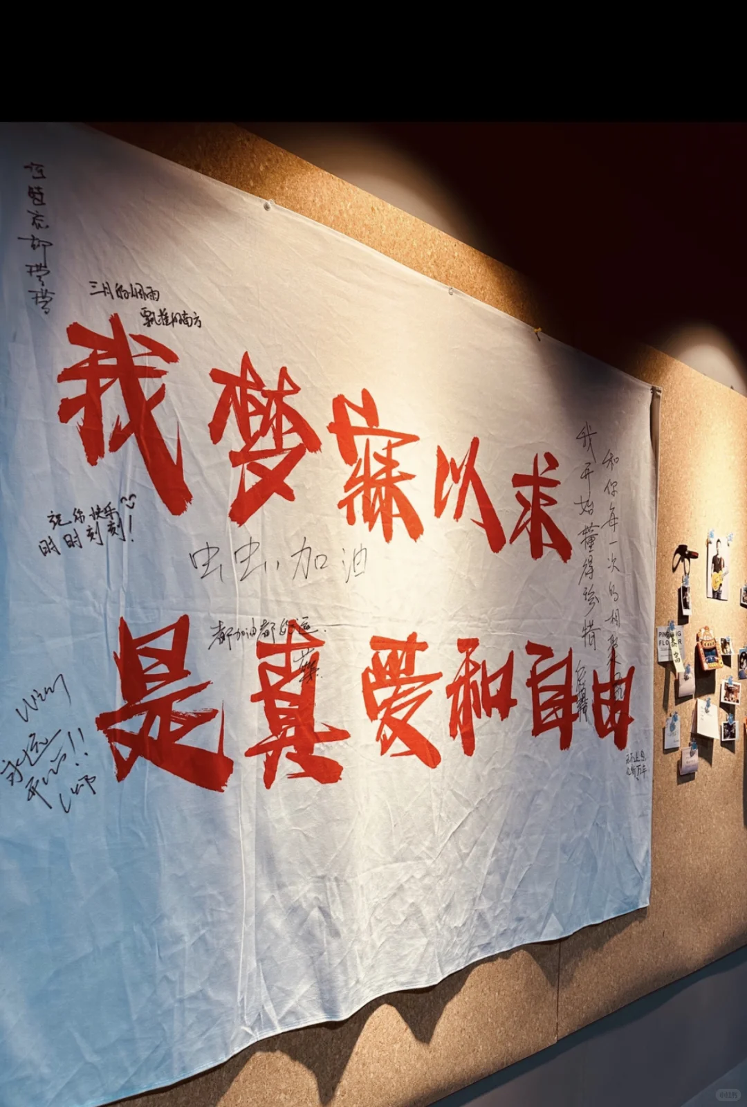 Day9民谣夜曲，梦的引路人